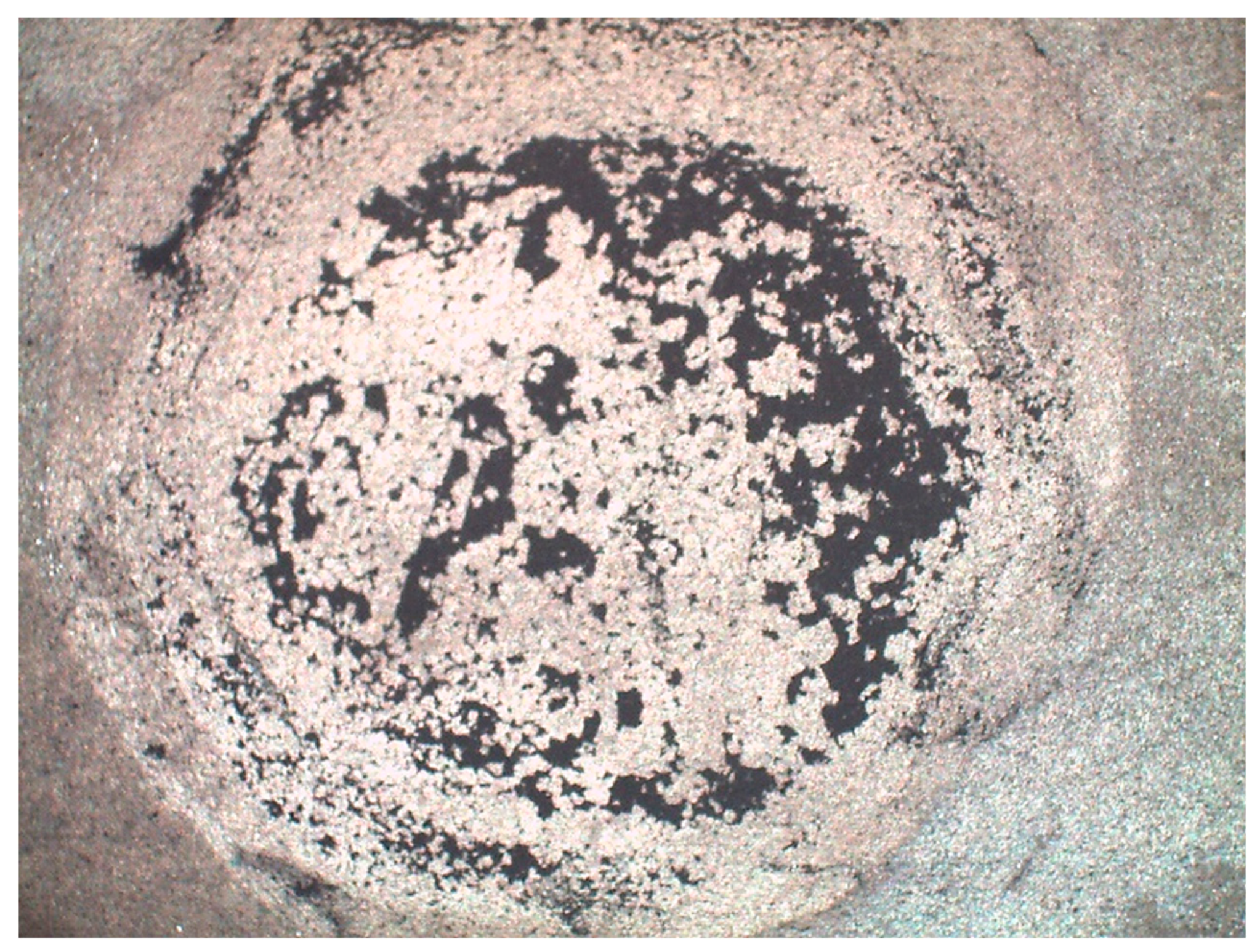 Coatings 10 01237 g009