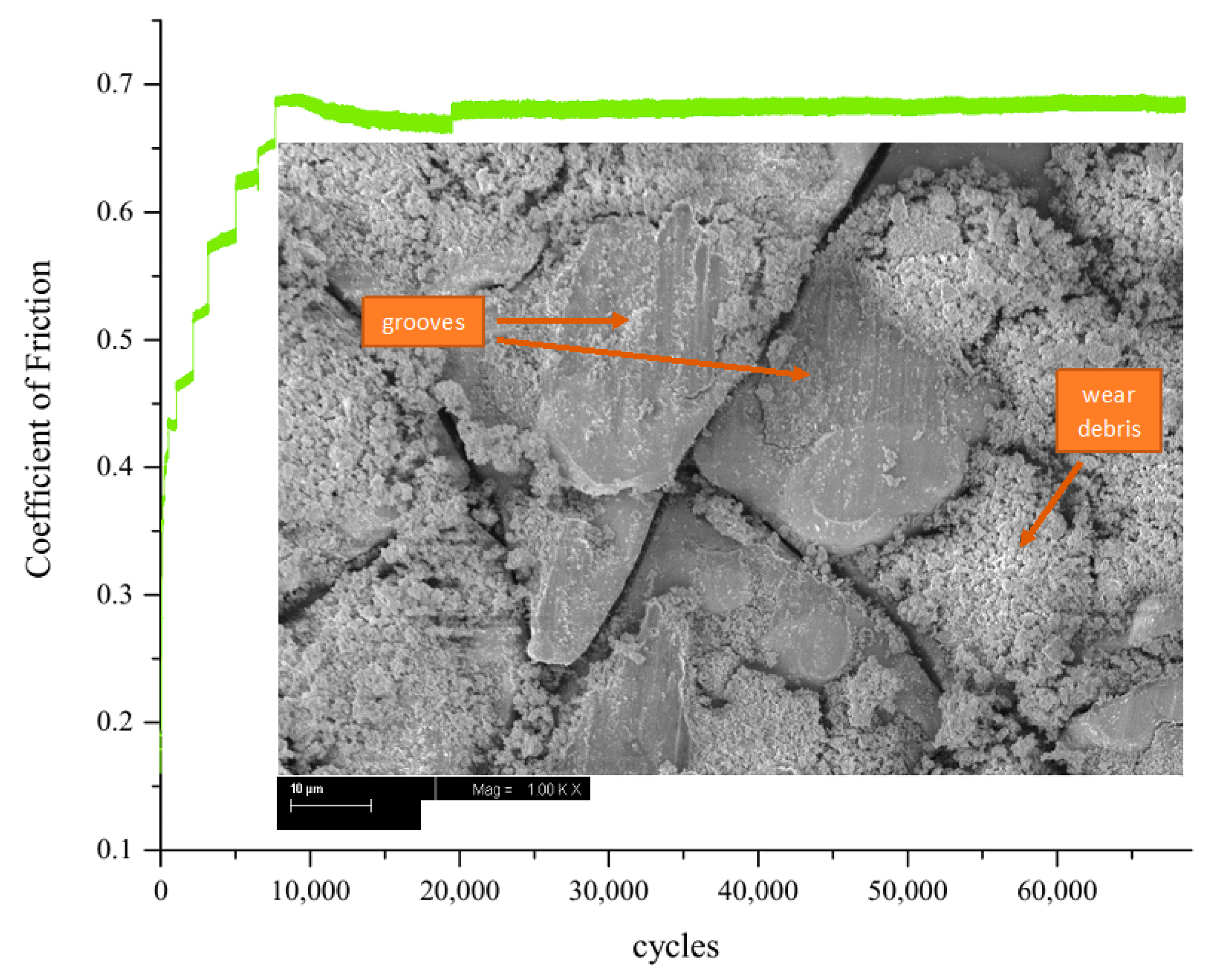 Coatings 10 01237 g015