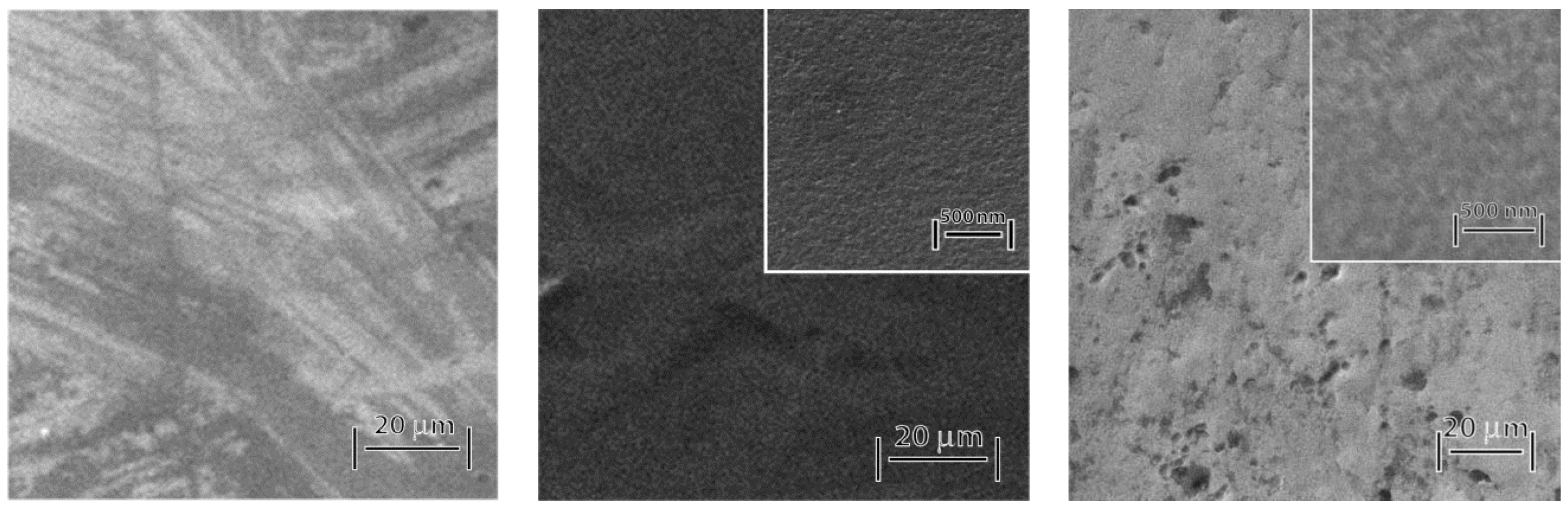 Coatings 10 01243 g002 Coatings 10 01243 g002