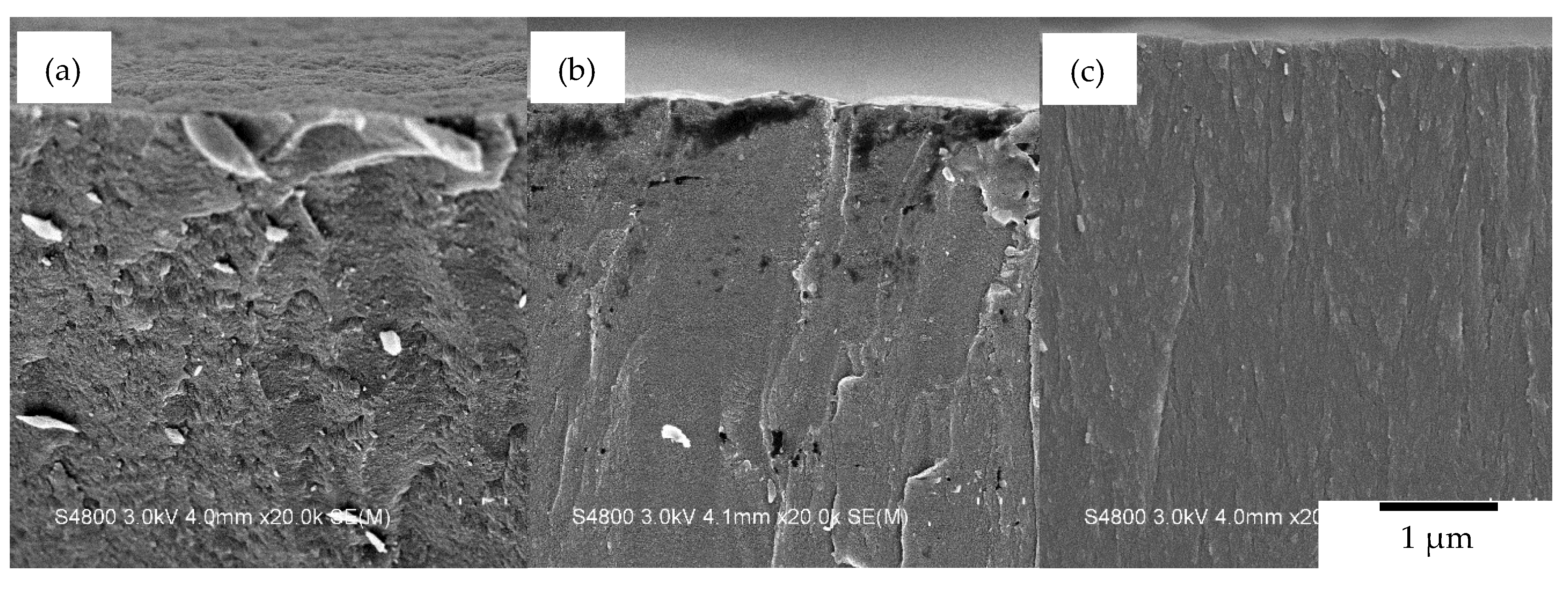 Coatings 10 01269 g005