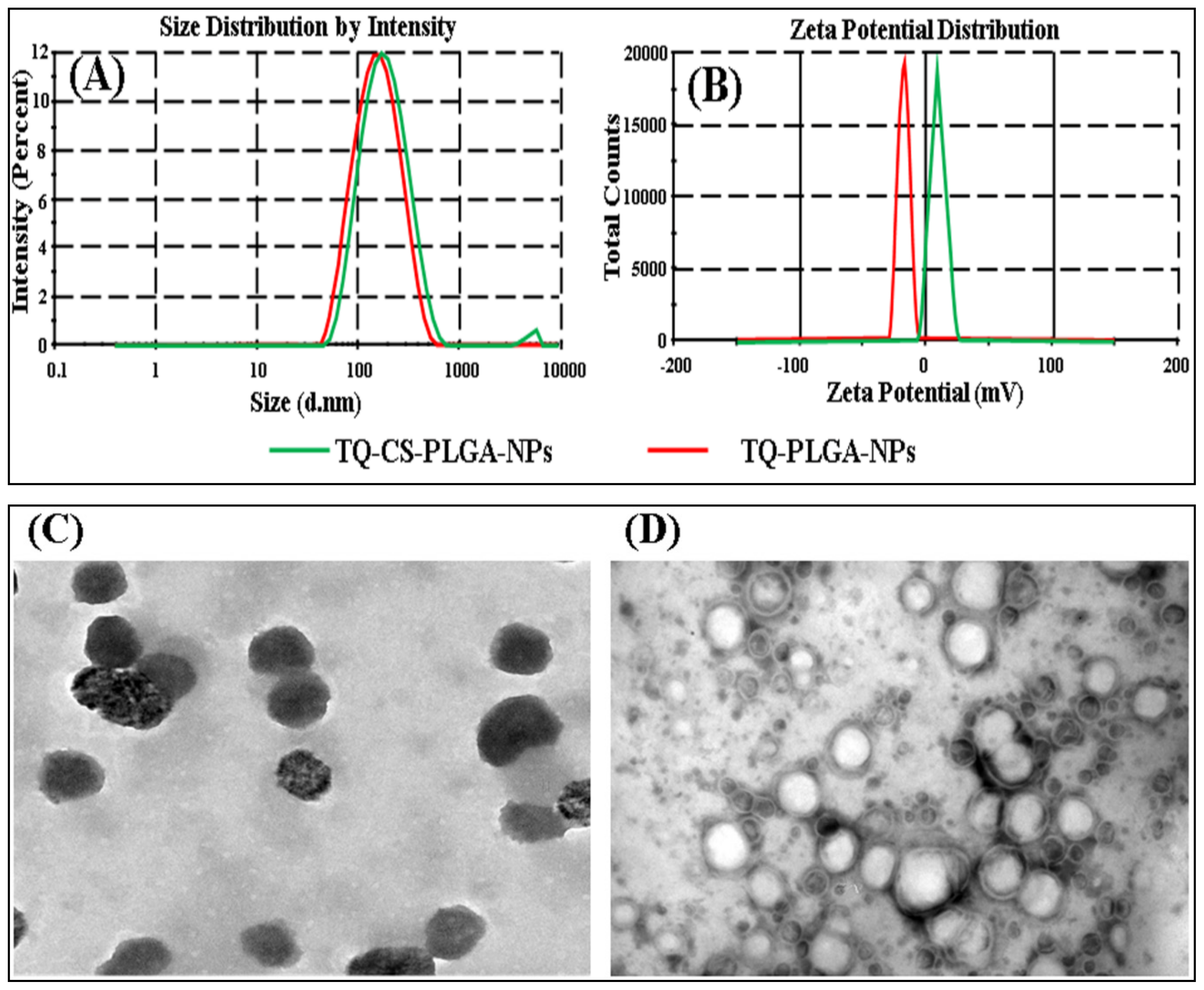 Coatings 11 00006 g004