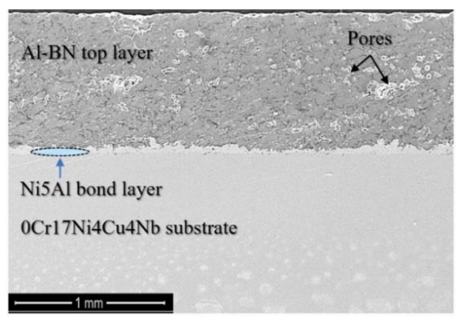 Coatings 11 00009 g001