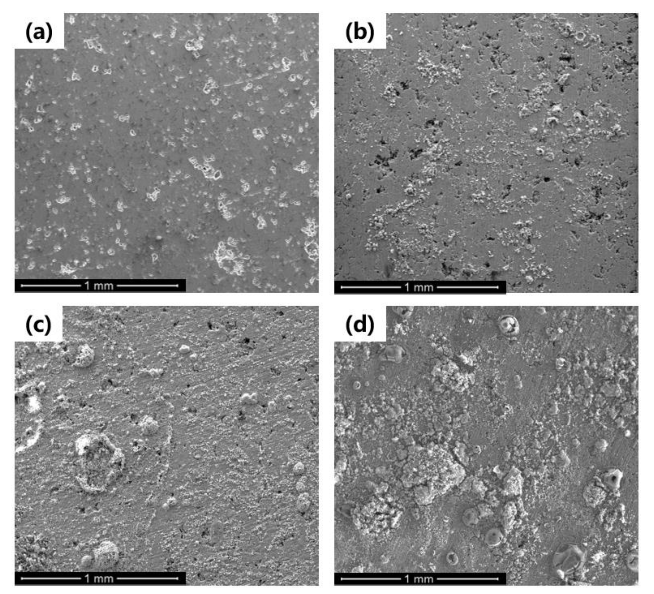 Coatings 11 00009 g011