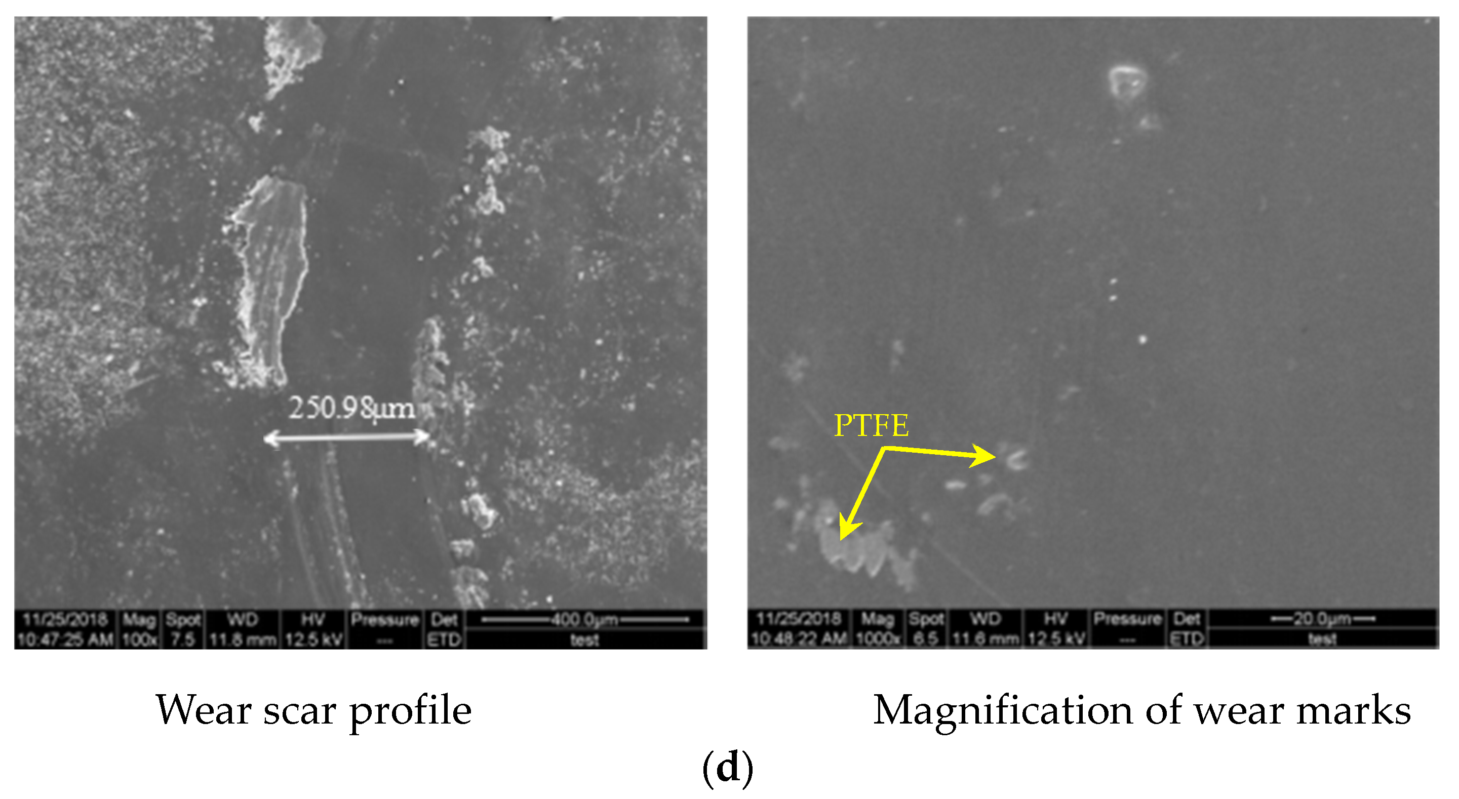 Coatings 11 00010 g007b