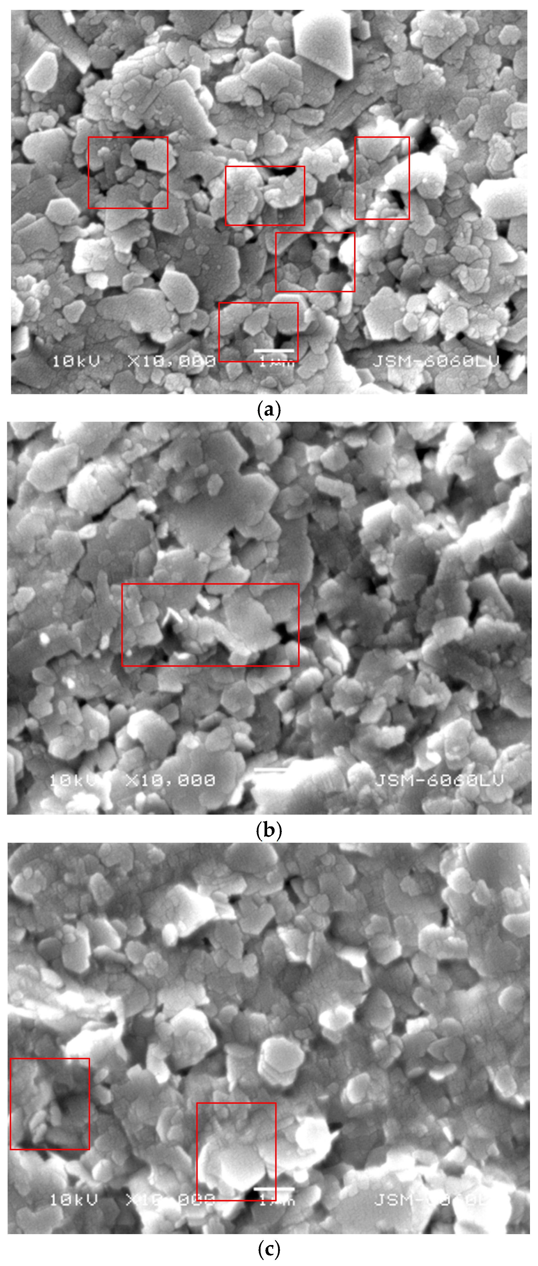 Coatings 11 00012 g006