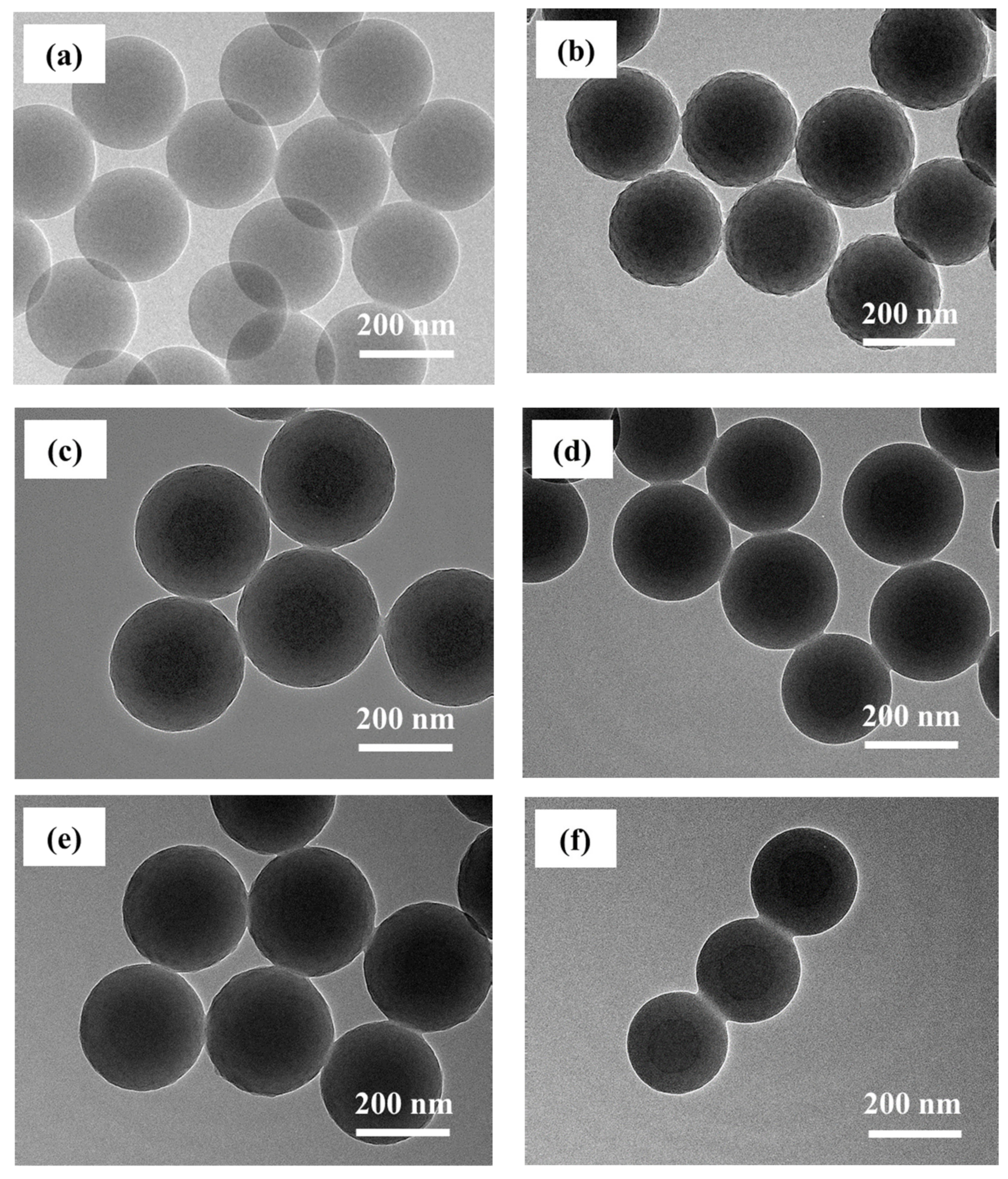 Coatings 11 00014 g004 Coatings 11 00014 g004