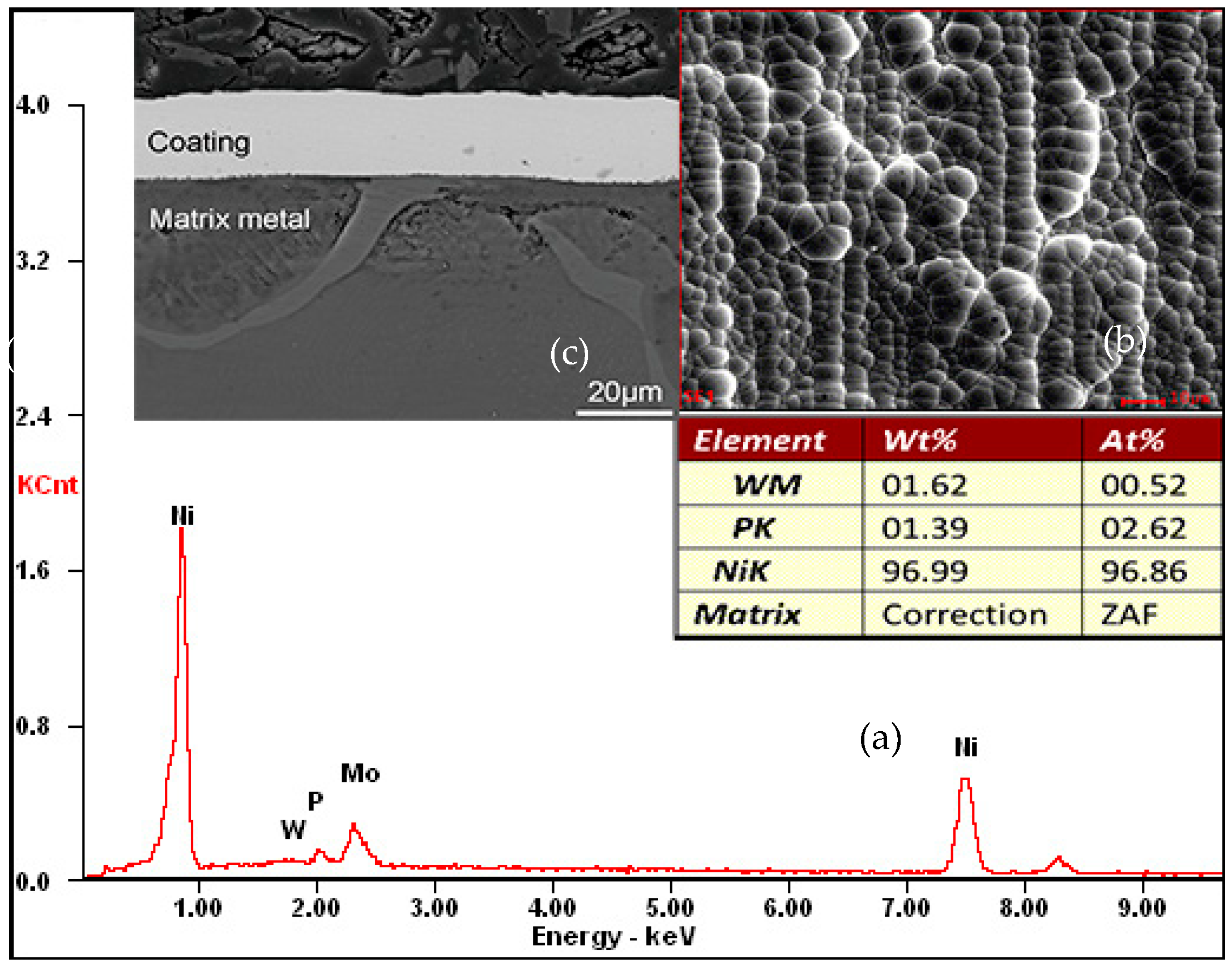 Coatings 11 00018 g010