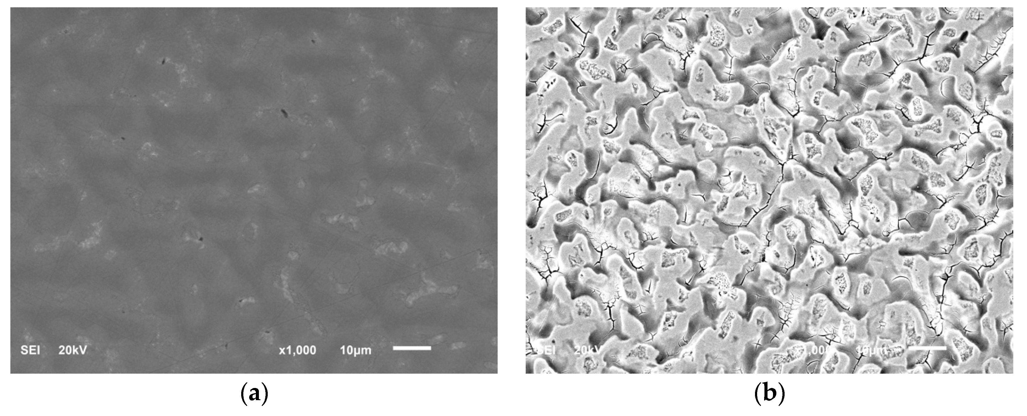 Coatings 11 00021 g004