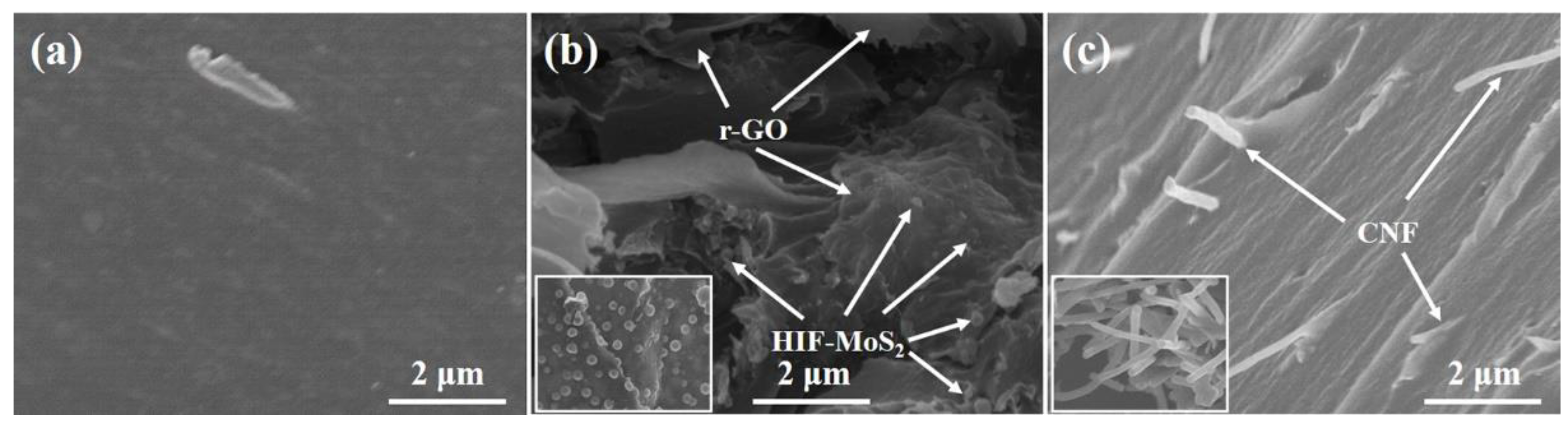 Coatings 11 00025 g001