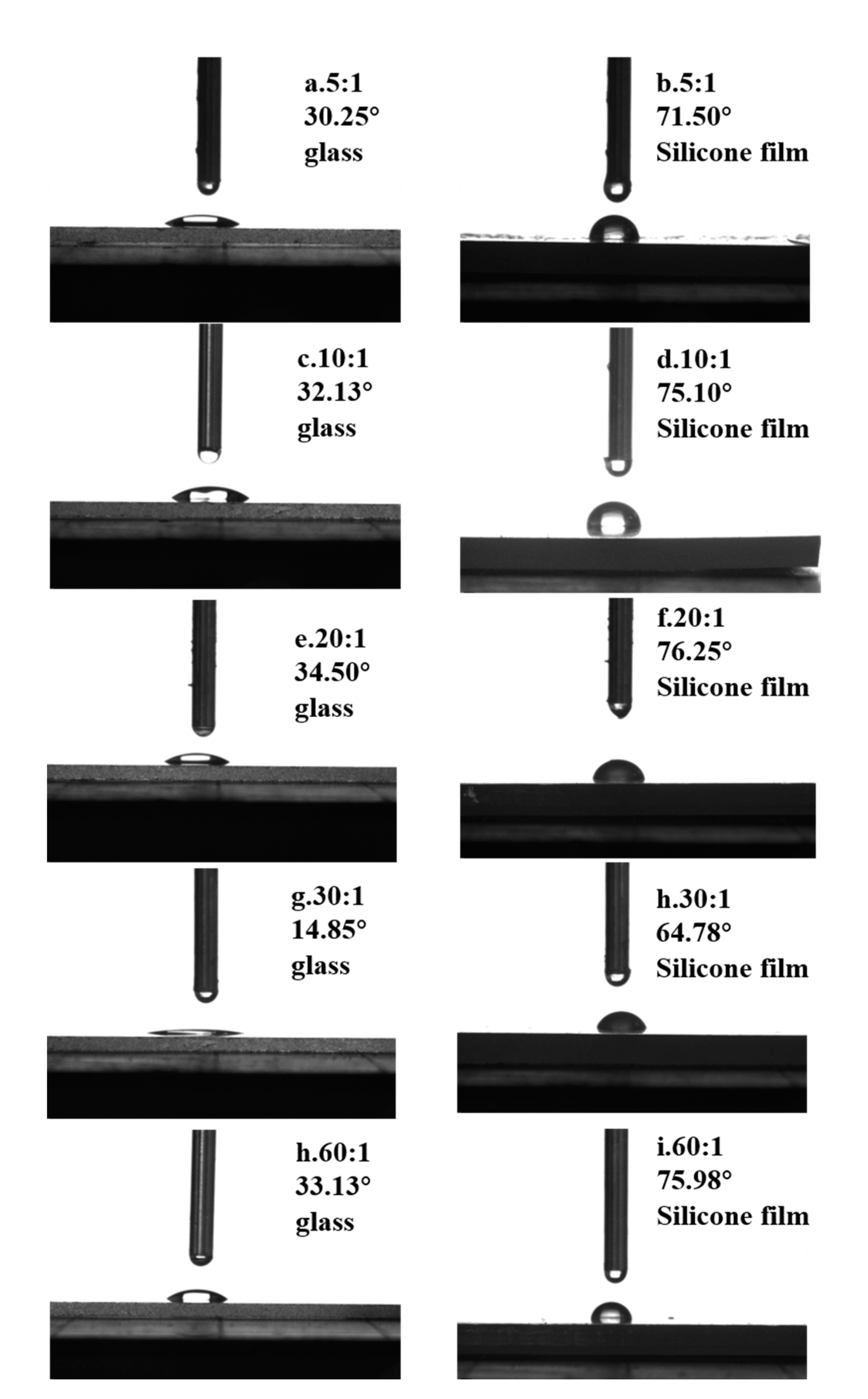 Coatings 11 00032 g005
