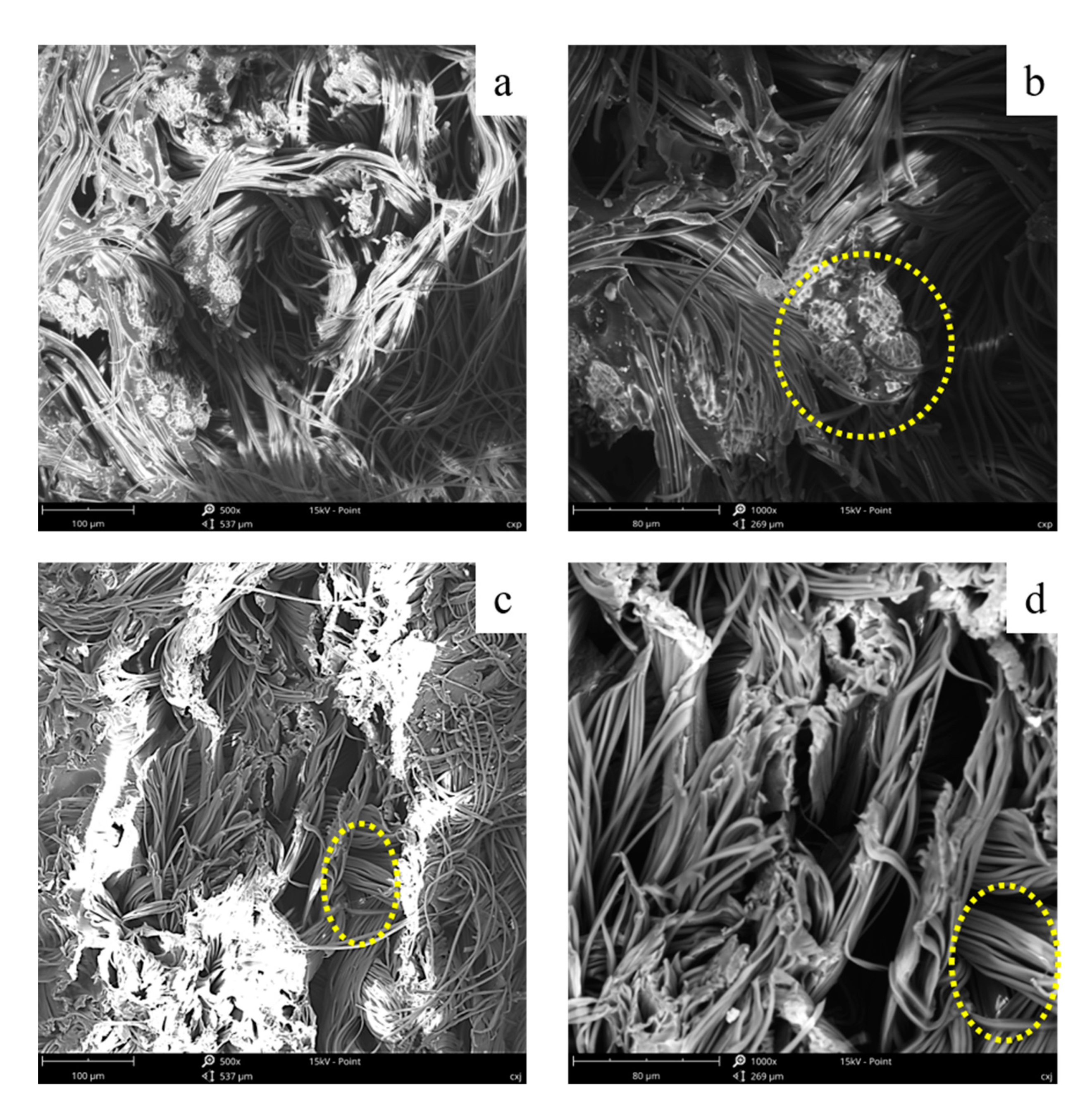 Coatings 11 00032 g007