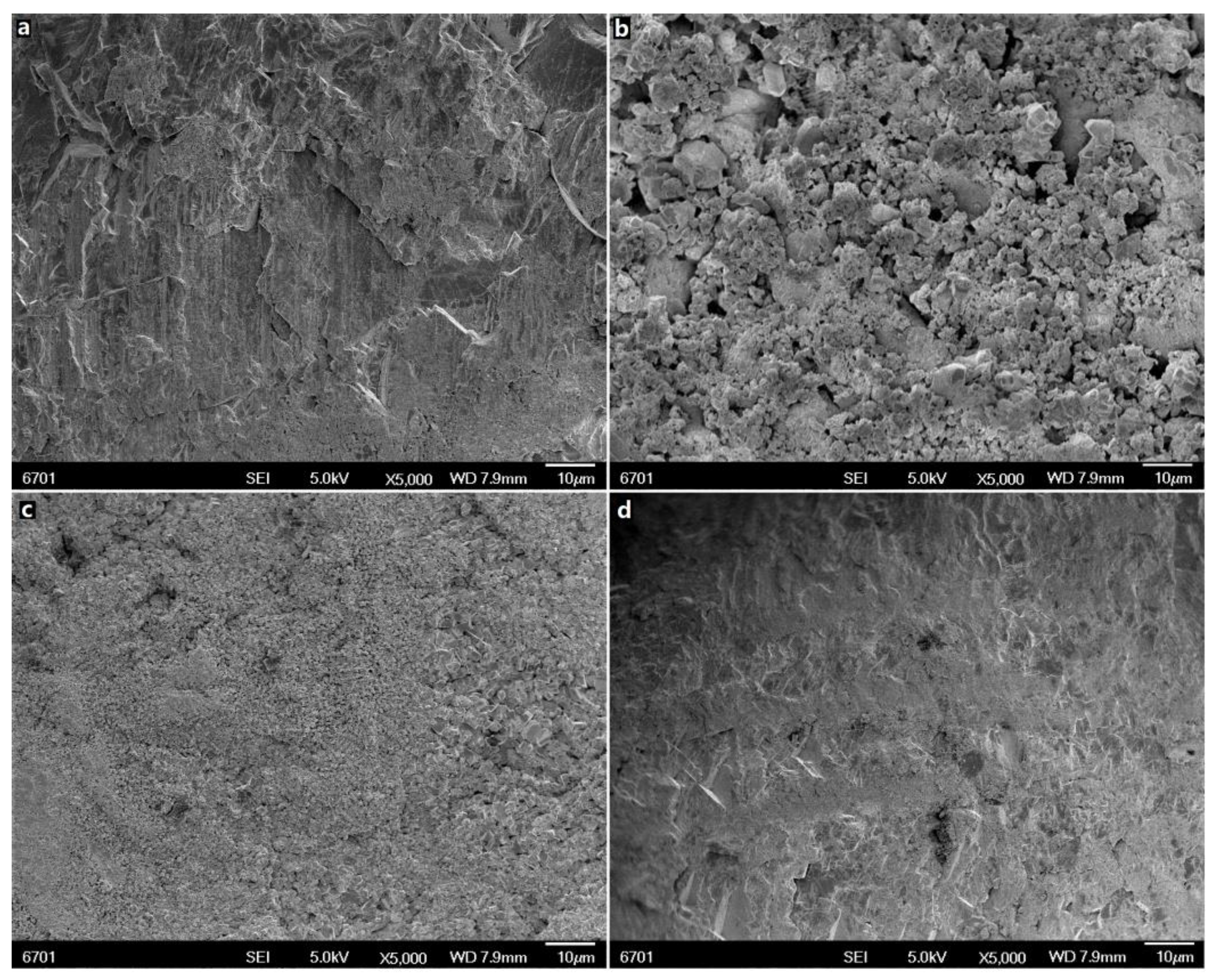 Coatings 11 00037 g002