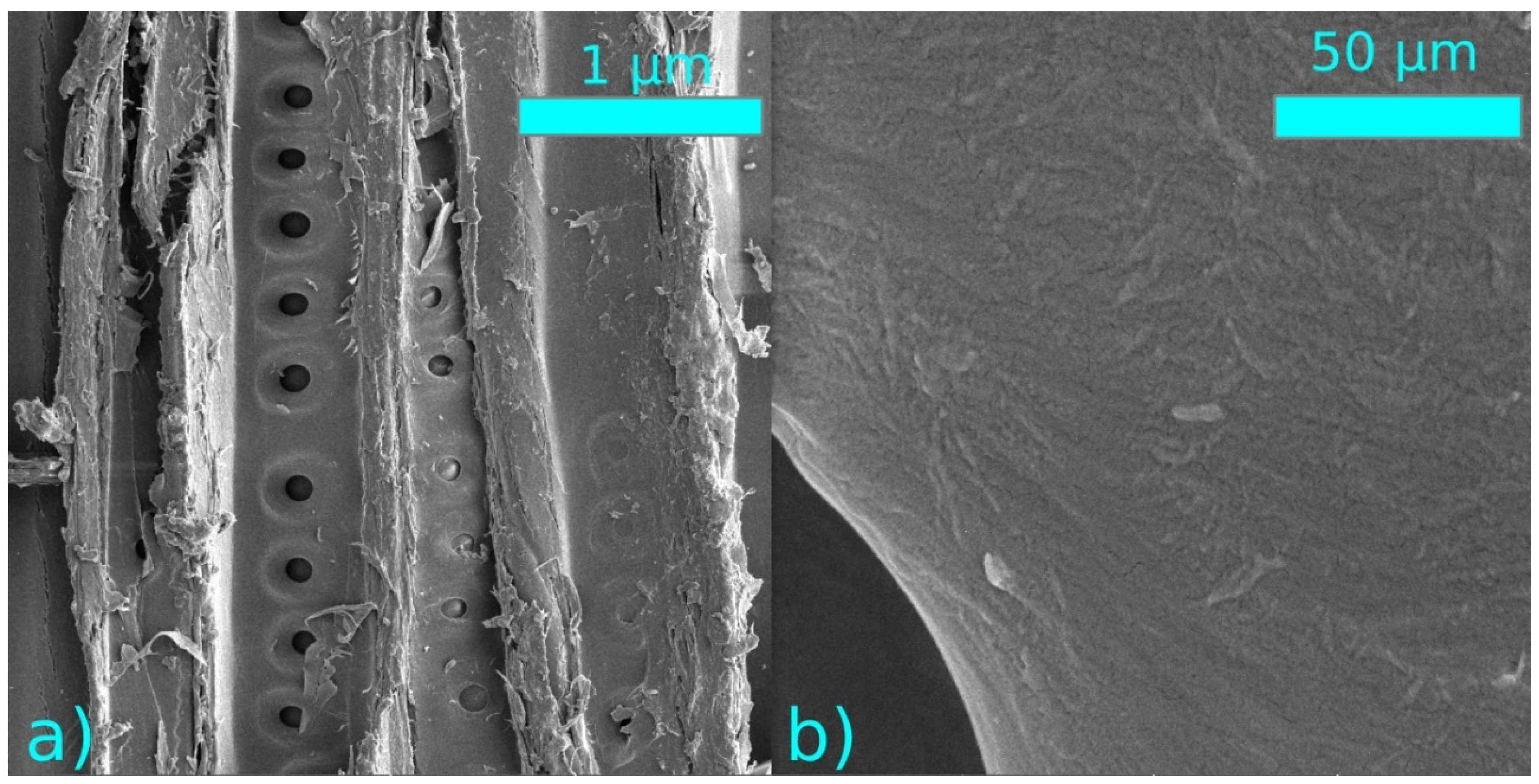 Coatings 11 00040 g011