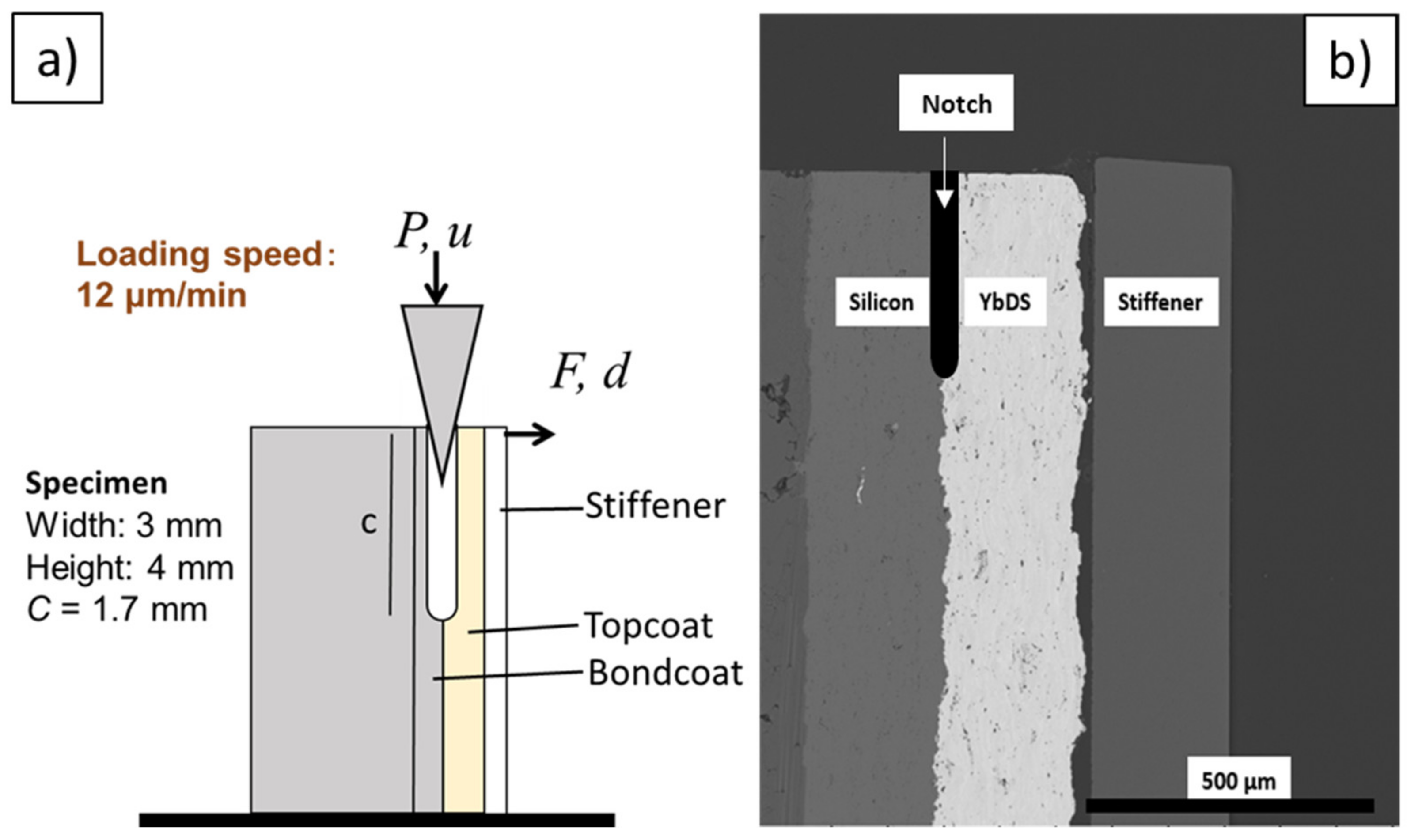 Coatings 11 00055 g002