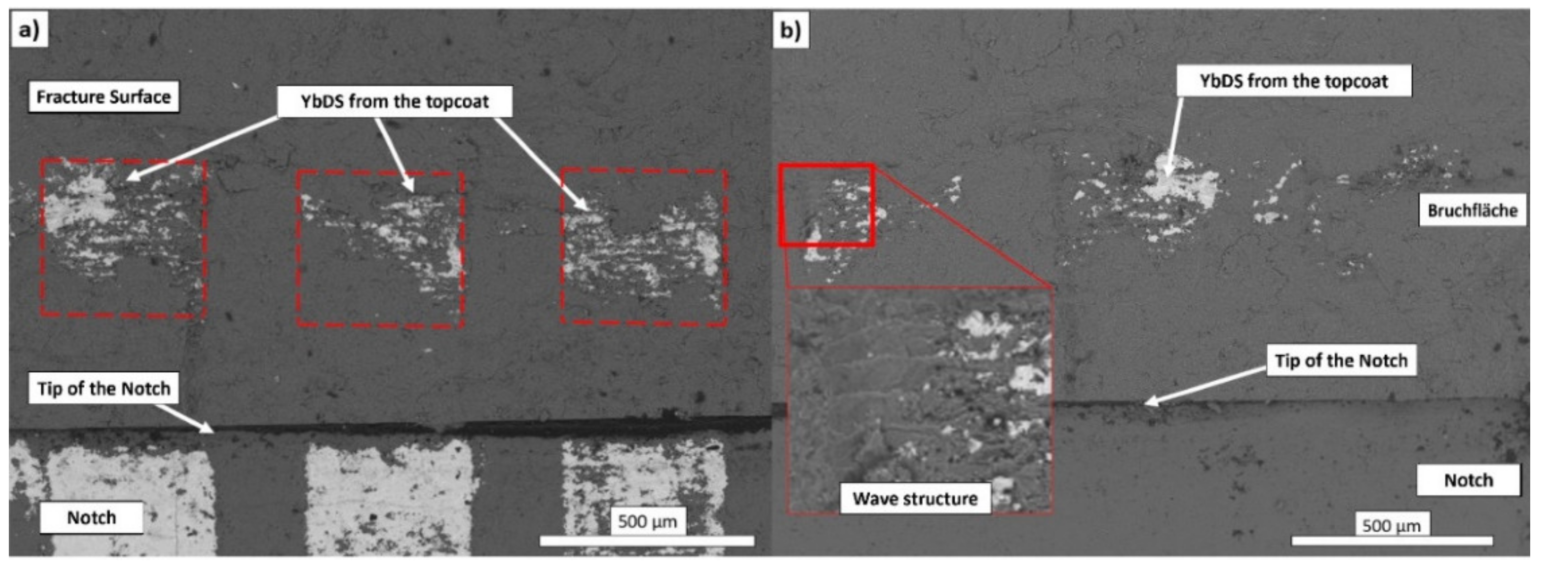 Coatings 11 00055 g011