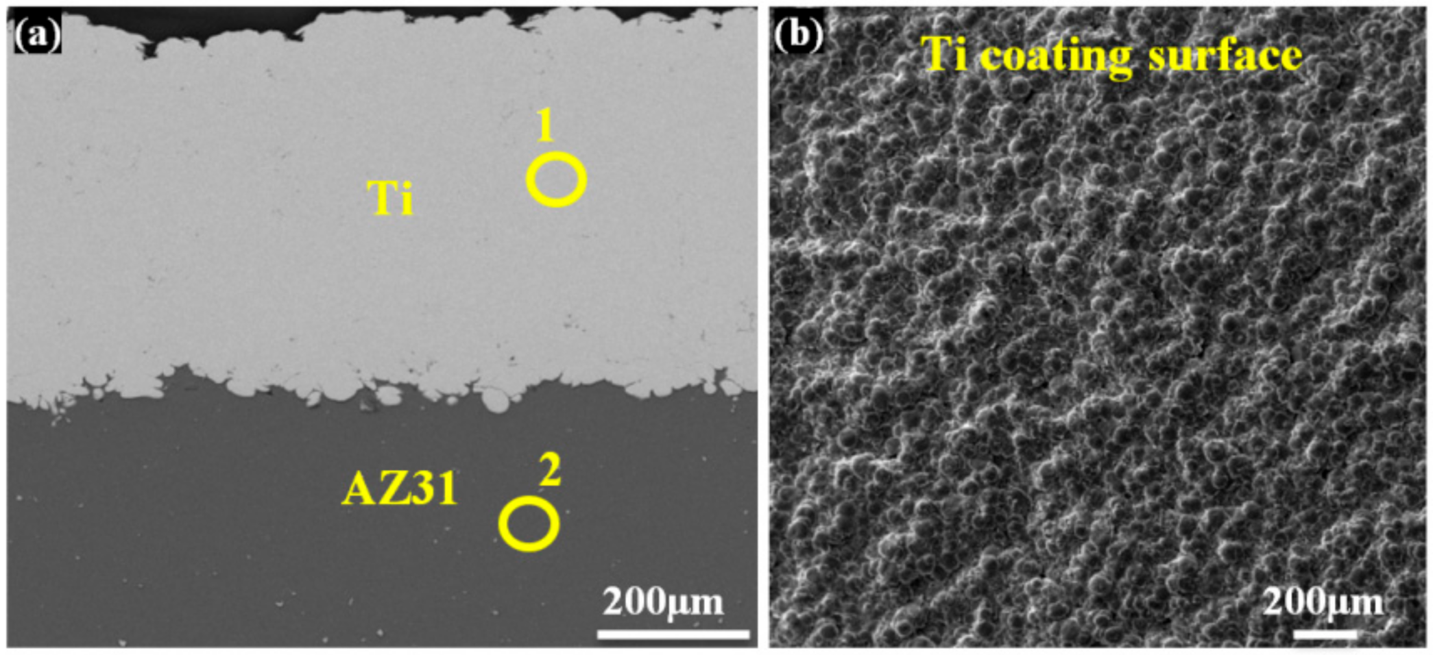Coatings 11 00057 g002a