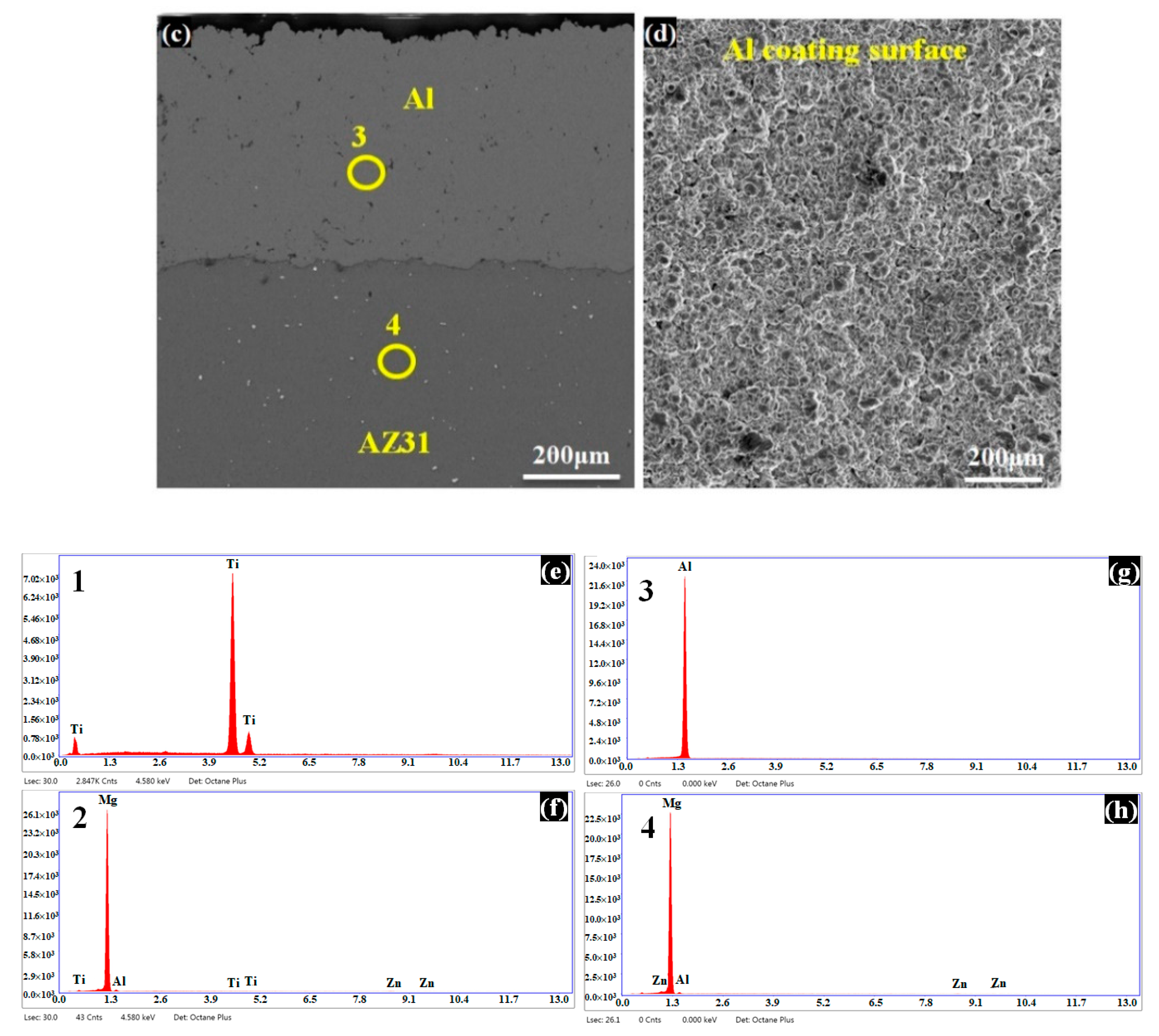 Coatings 11 00057 g002b