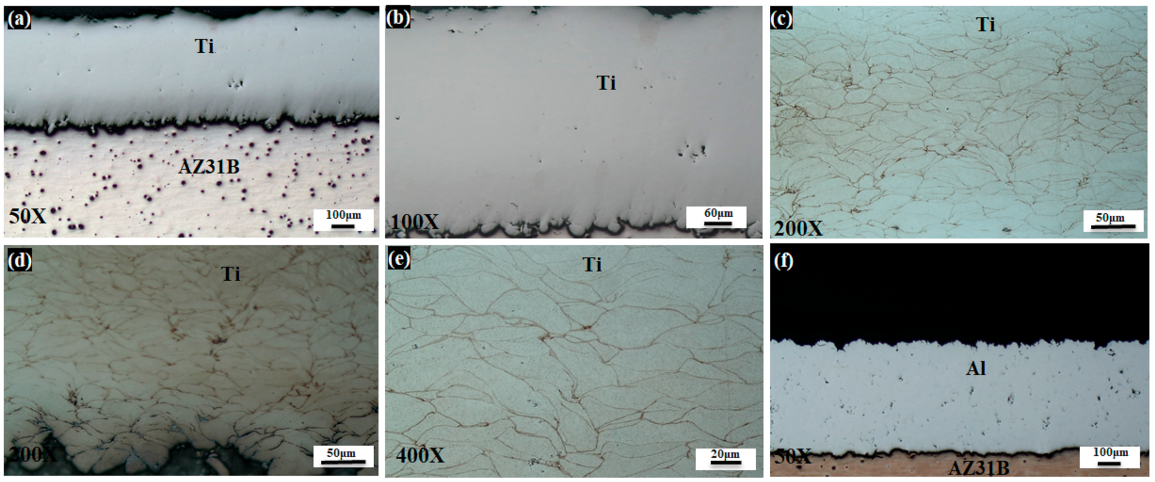 Coatings 11 00057 g003a