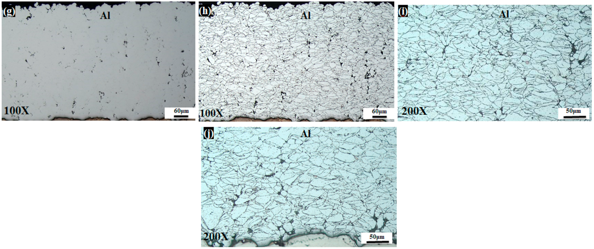 Coatings 11 00057 g003b