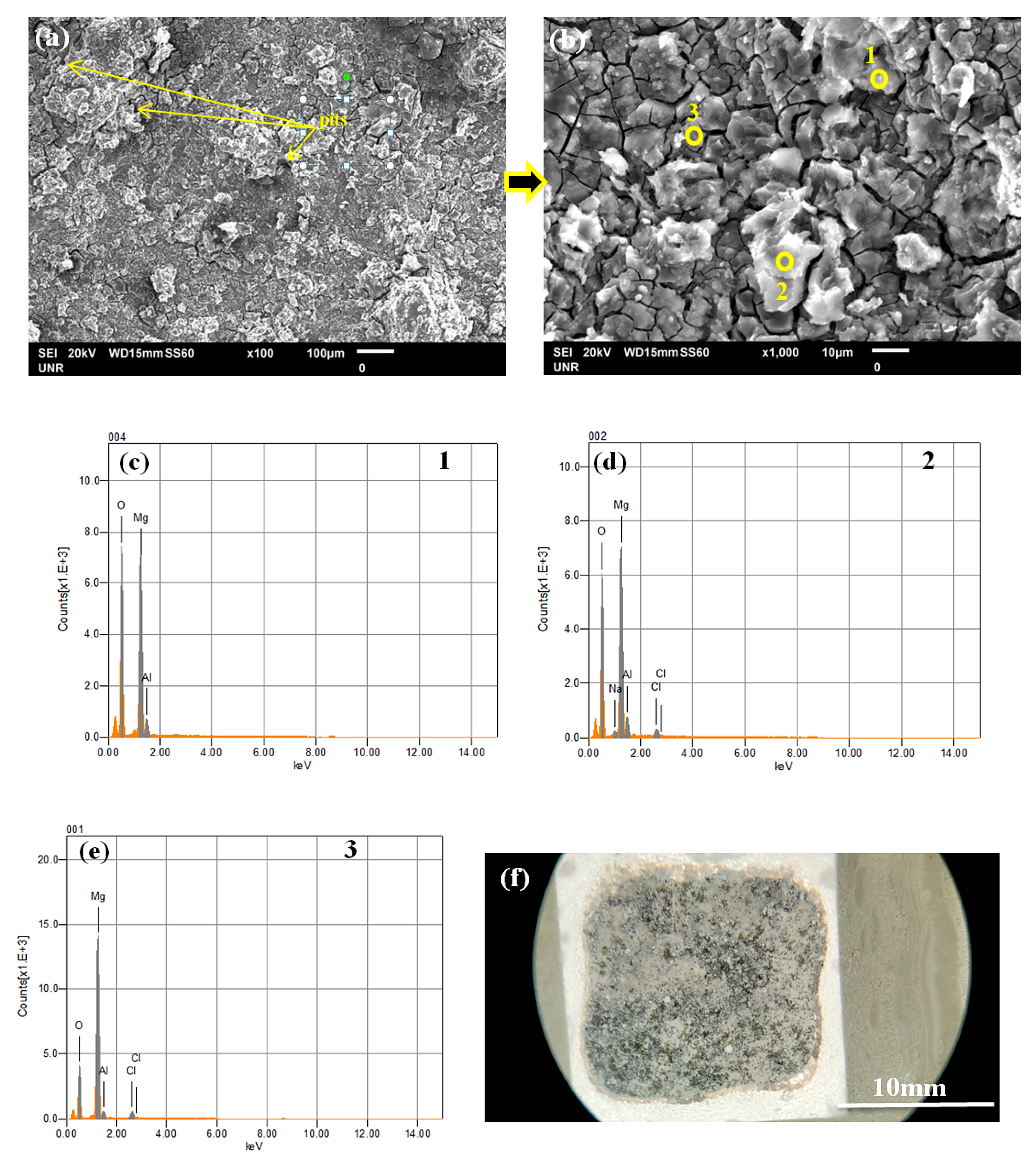 Coatings 11 00057 g009