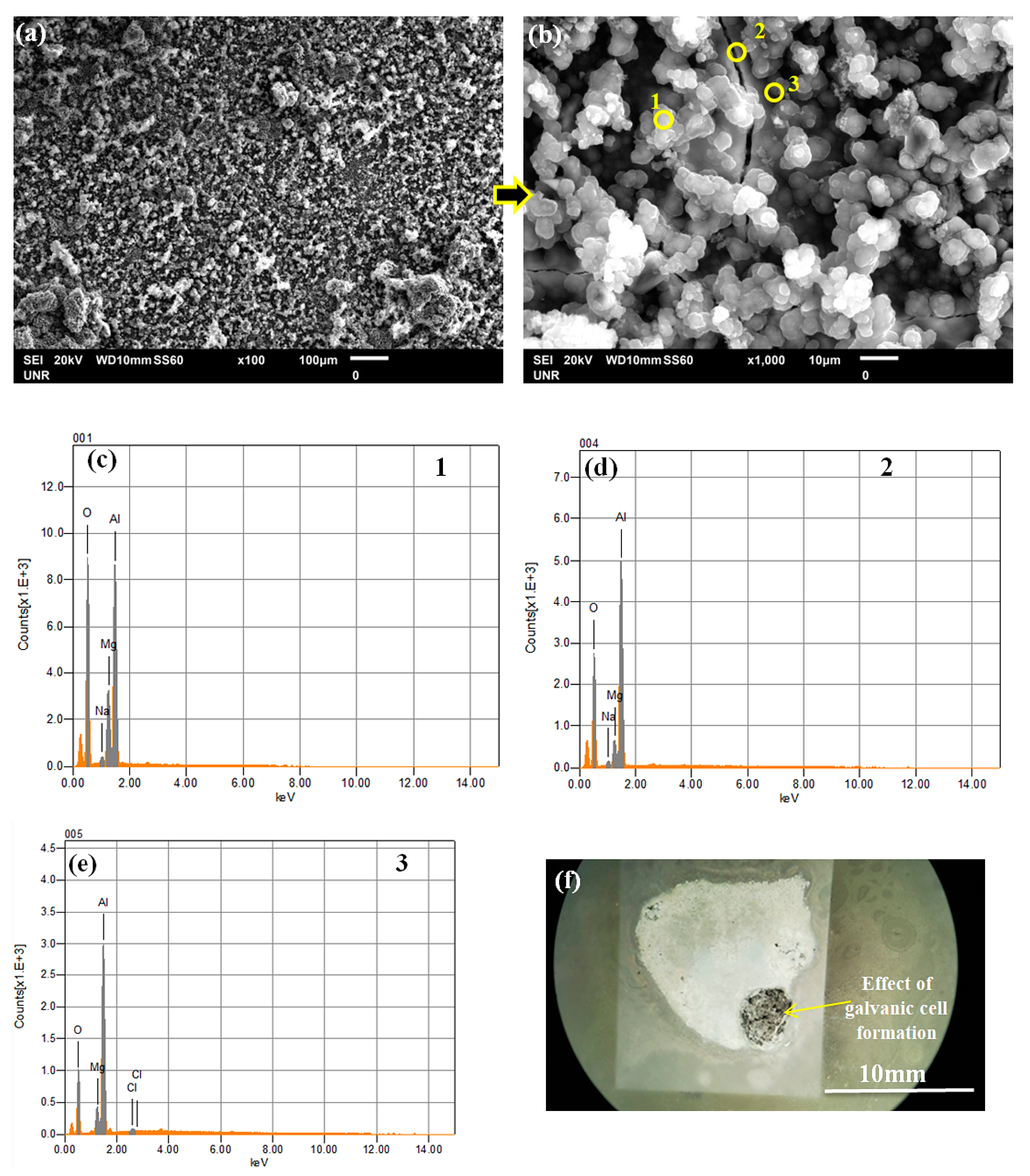 Coatings 11 00057 g010