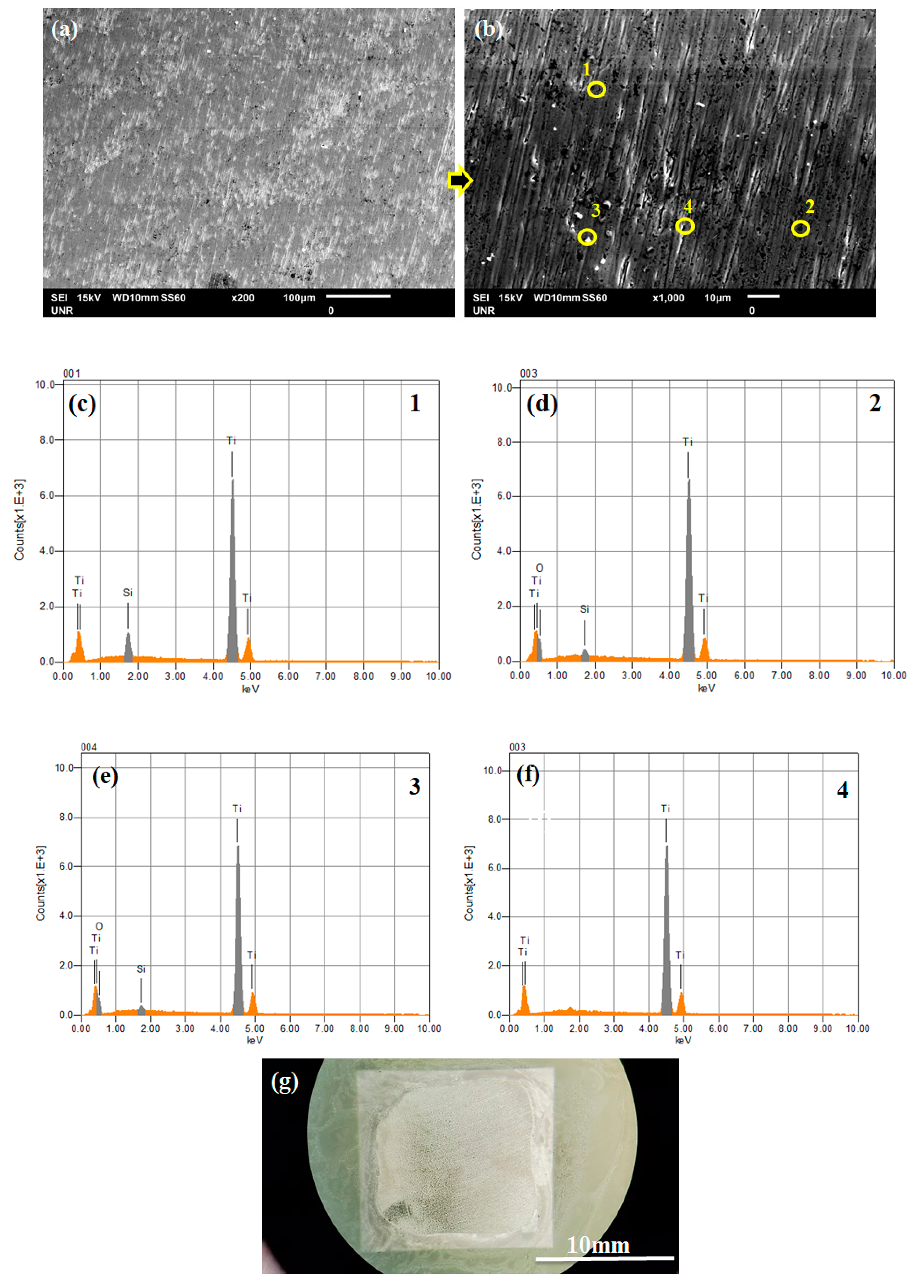 Coatings 11 00057 g011