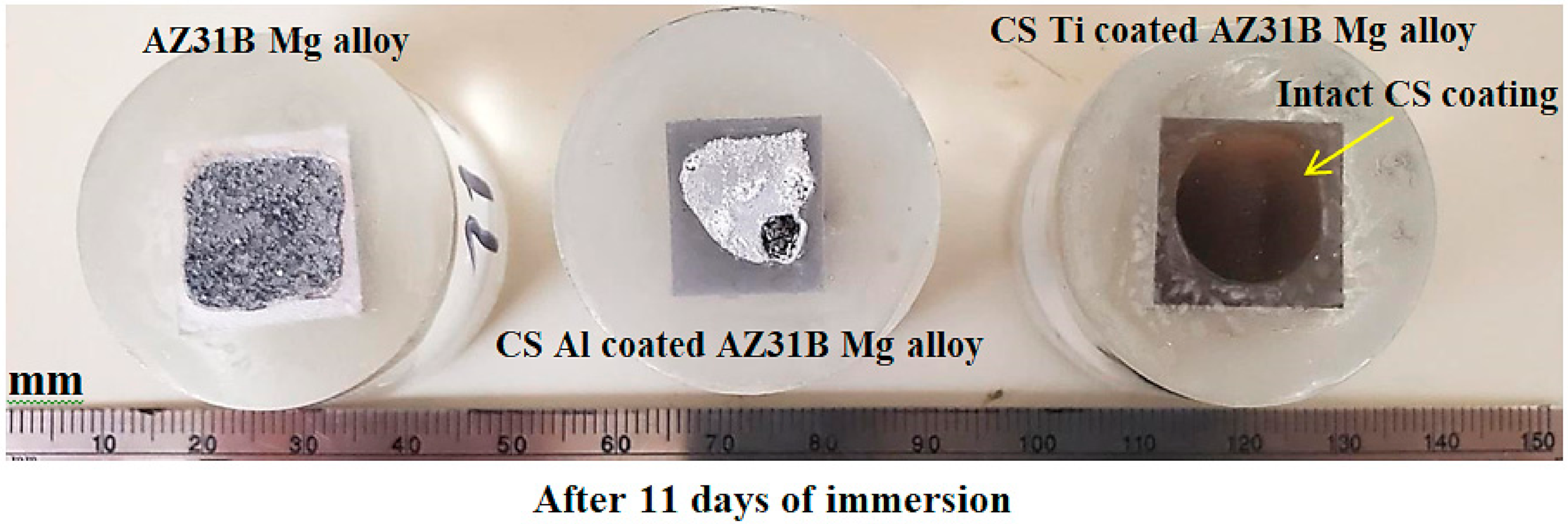 Coatings 11 00057 g012
