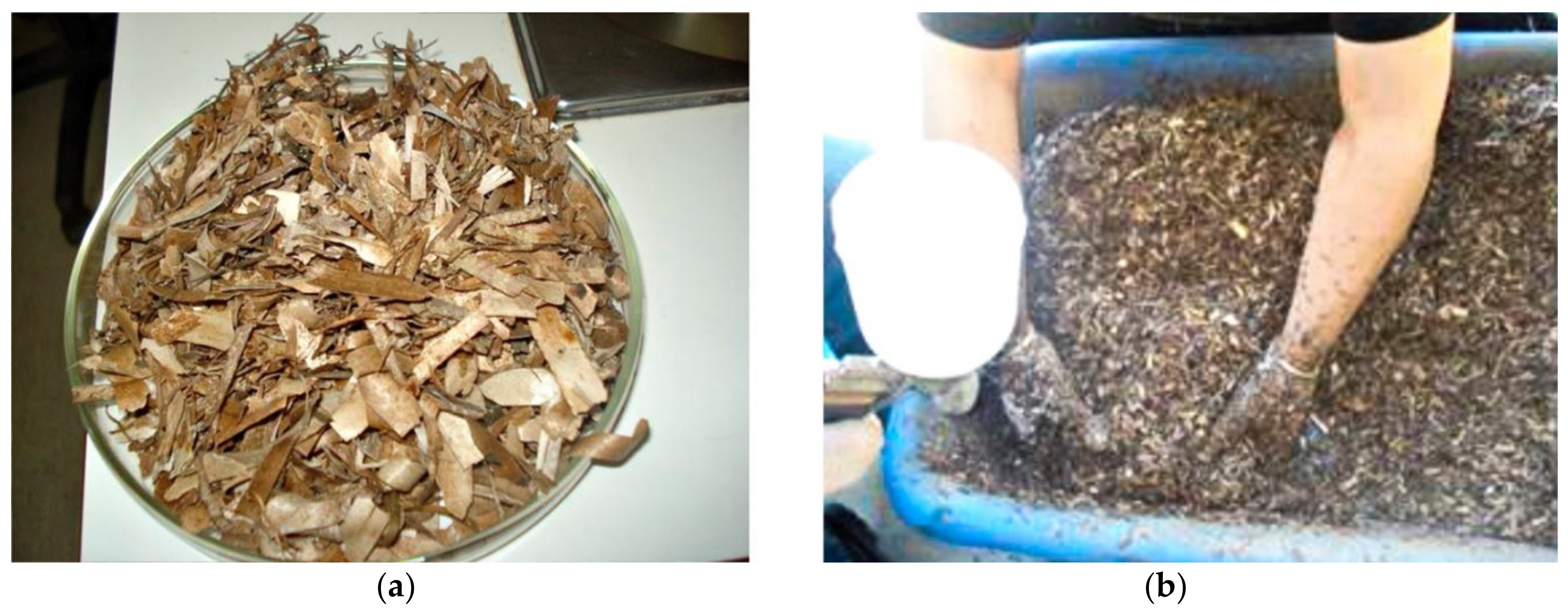 Coatings 11 00069 g001