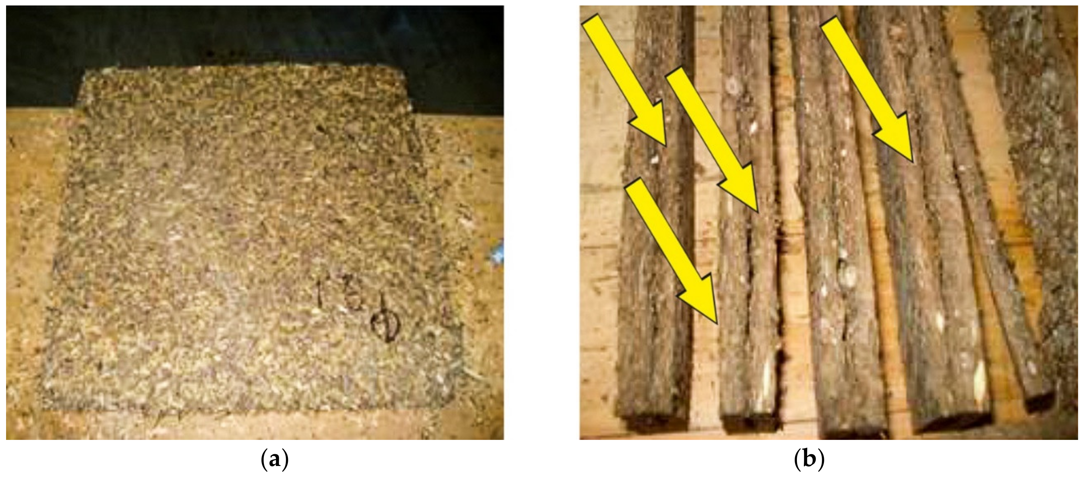 Coatings 11 00069 g004