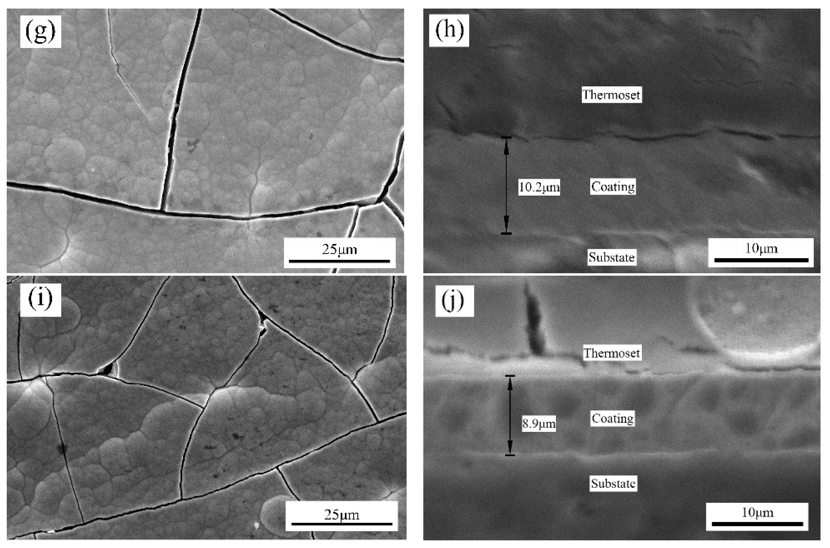 Coatings 11 00072 g001b Coatings 11 00072 g001b