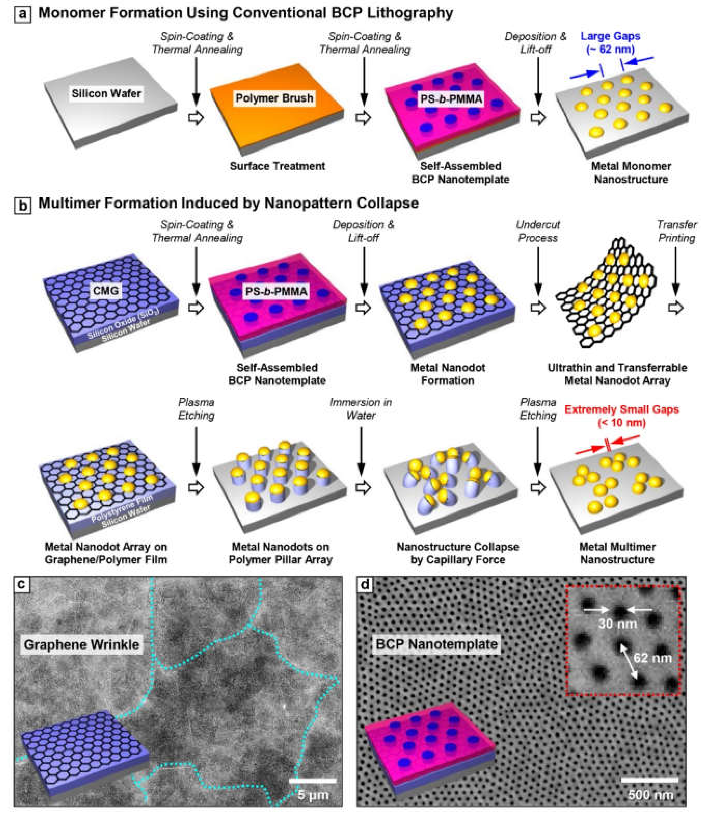 Coatings 11 00076 g001