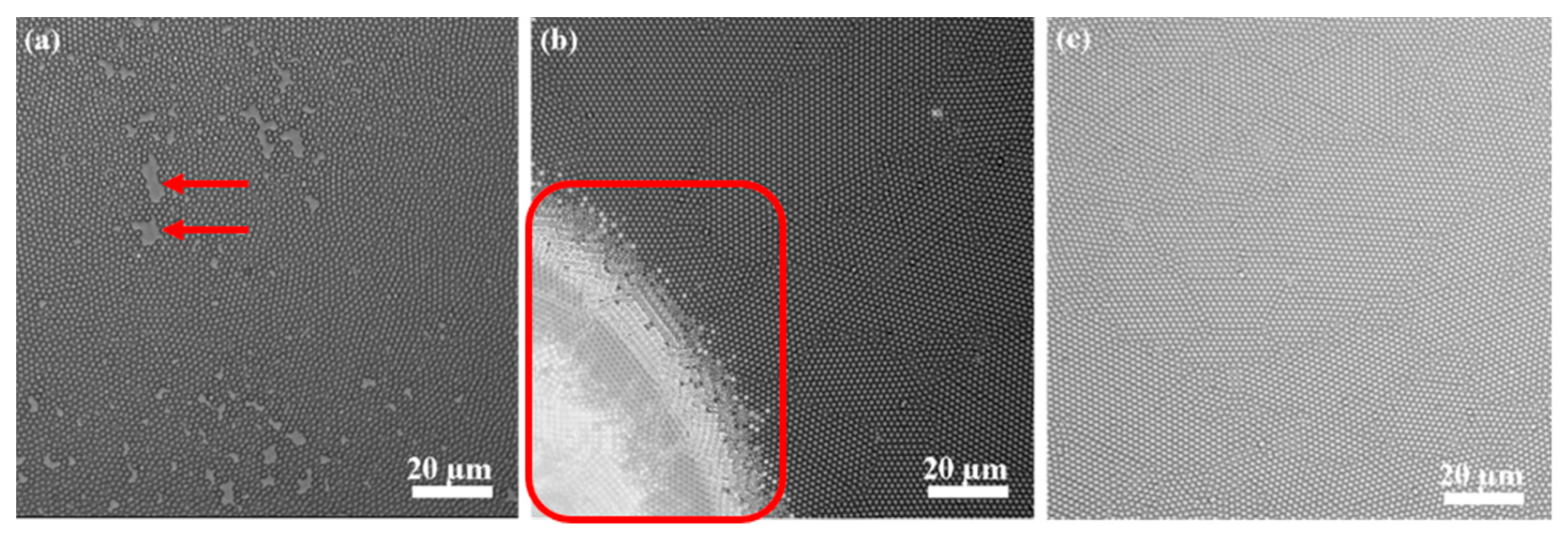 Coatings 11 00082 g003 Coatings 11 00082 g003