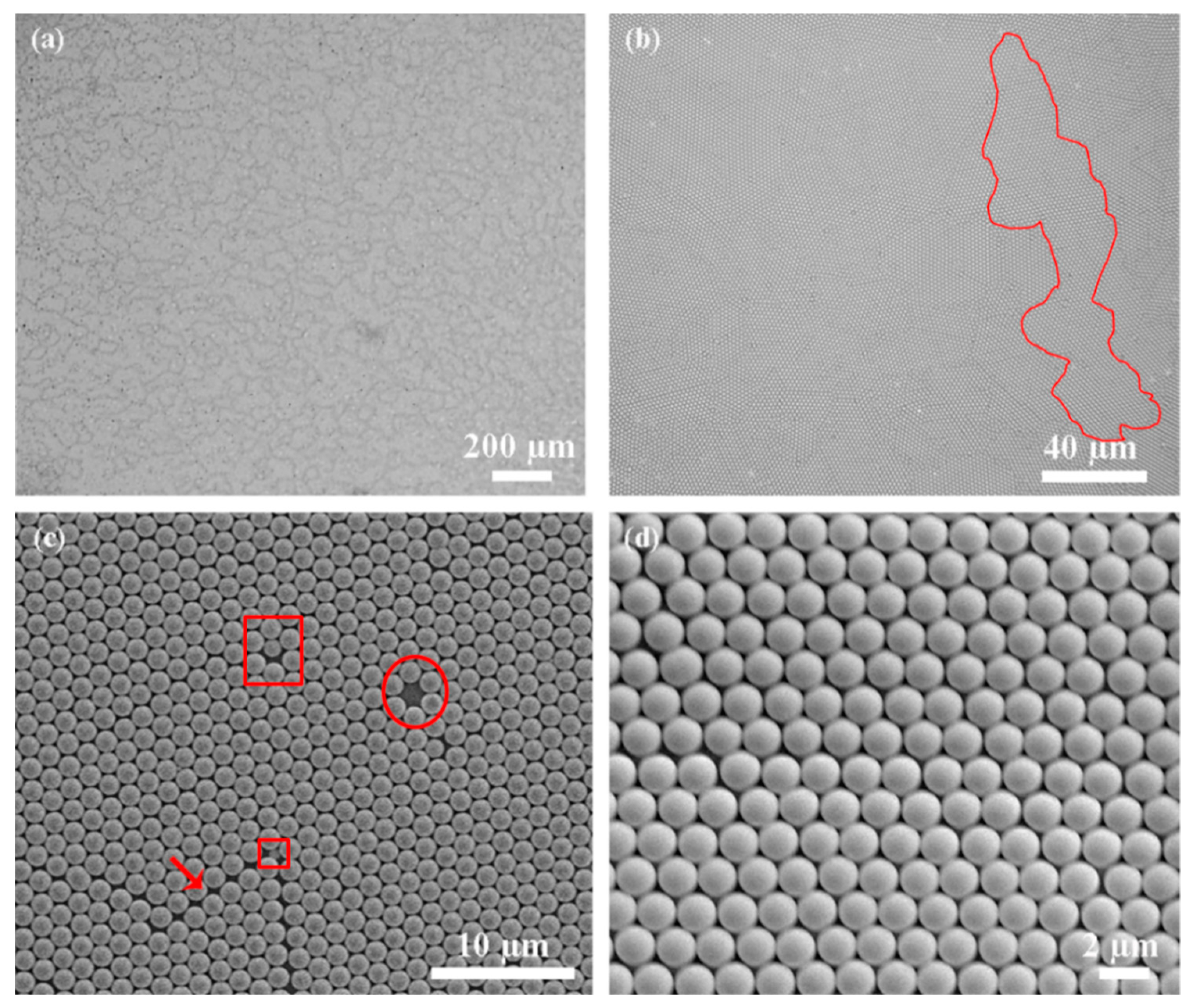 Coatings 11 00082 g004 Coatings 11 00082 g004