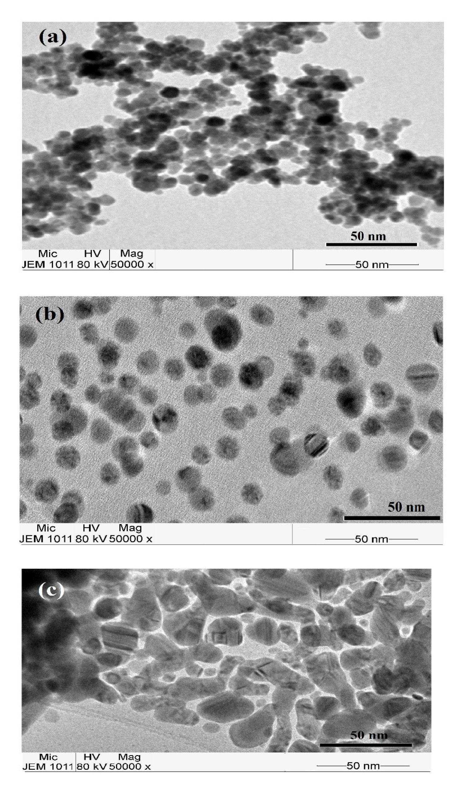 Coatings 11 00083 g006 Coatings 11 00083 g006