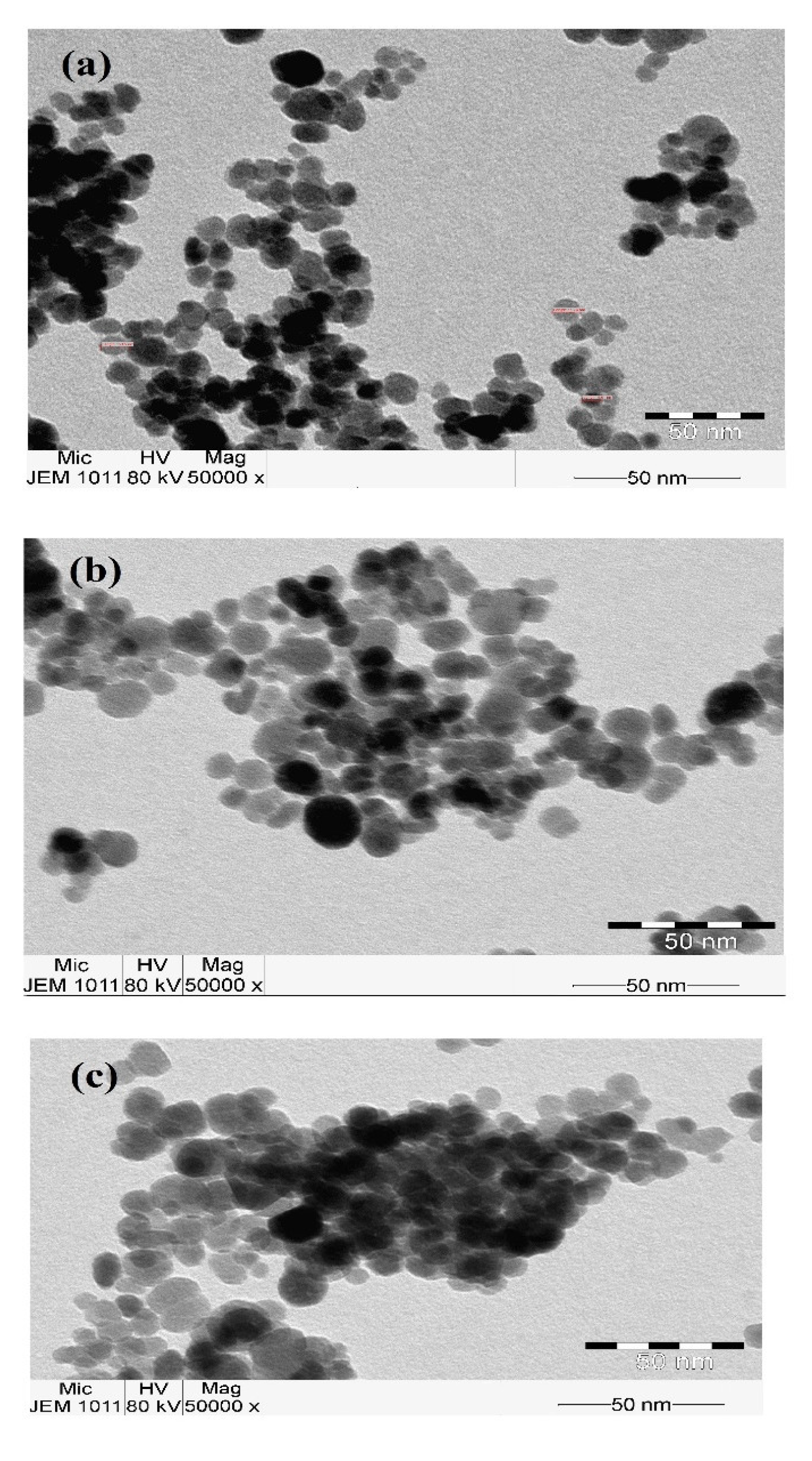 Coatings 11 00083 g007 Coatings 11 00083 g007