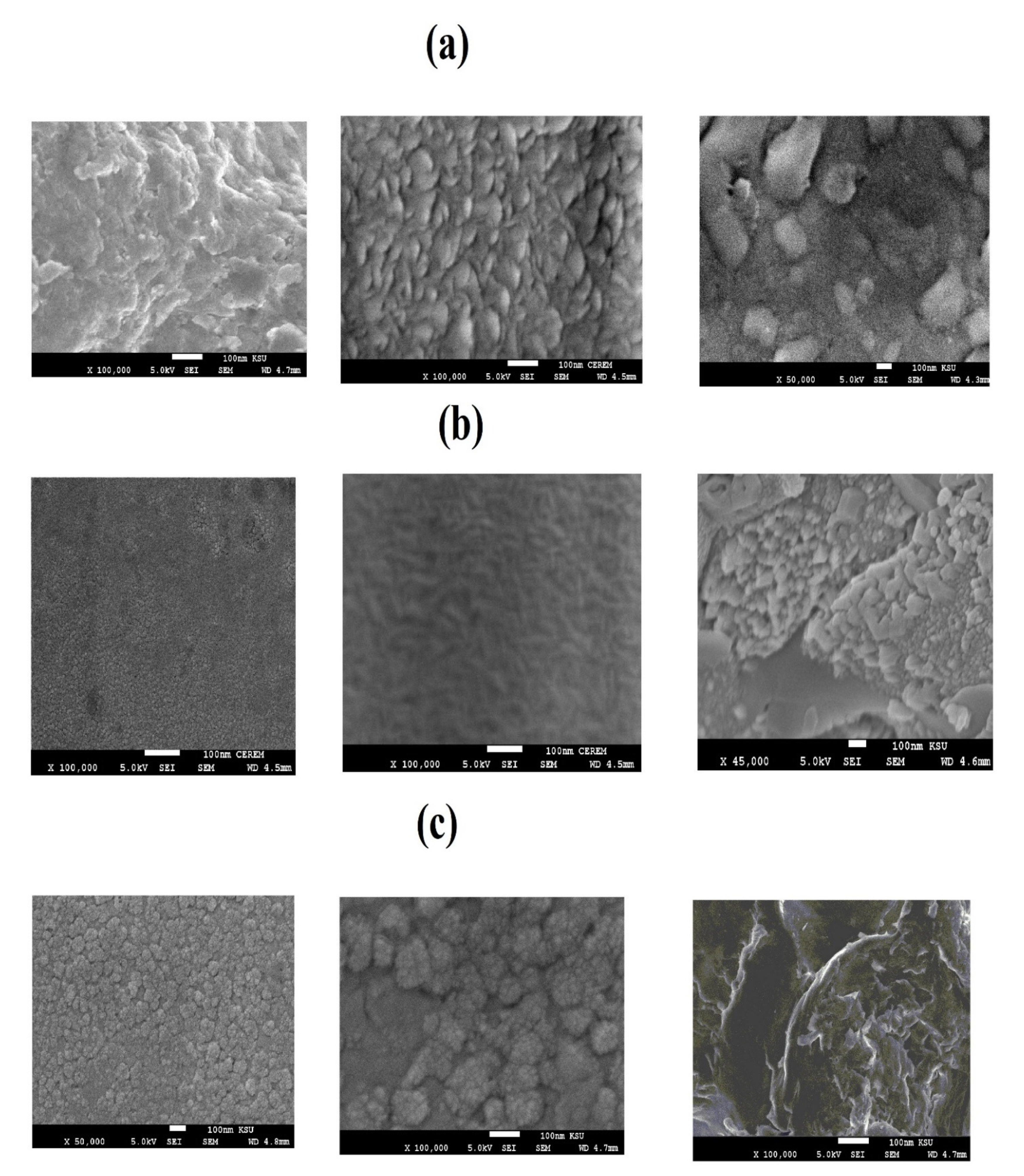 Coatings 11 00083 g010 Coatings 11 00083 g010