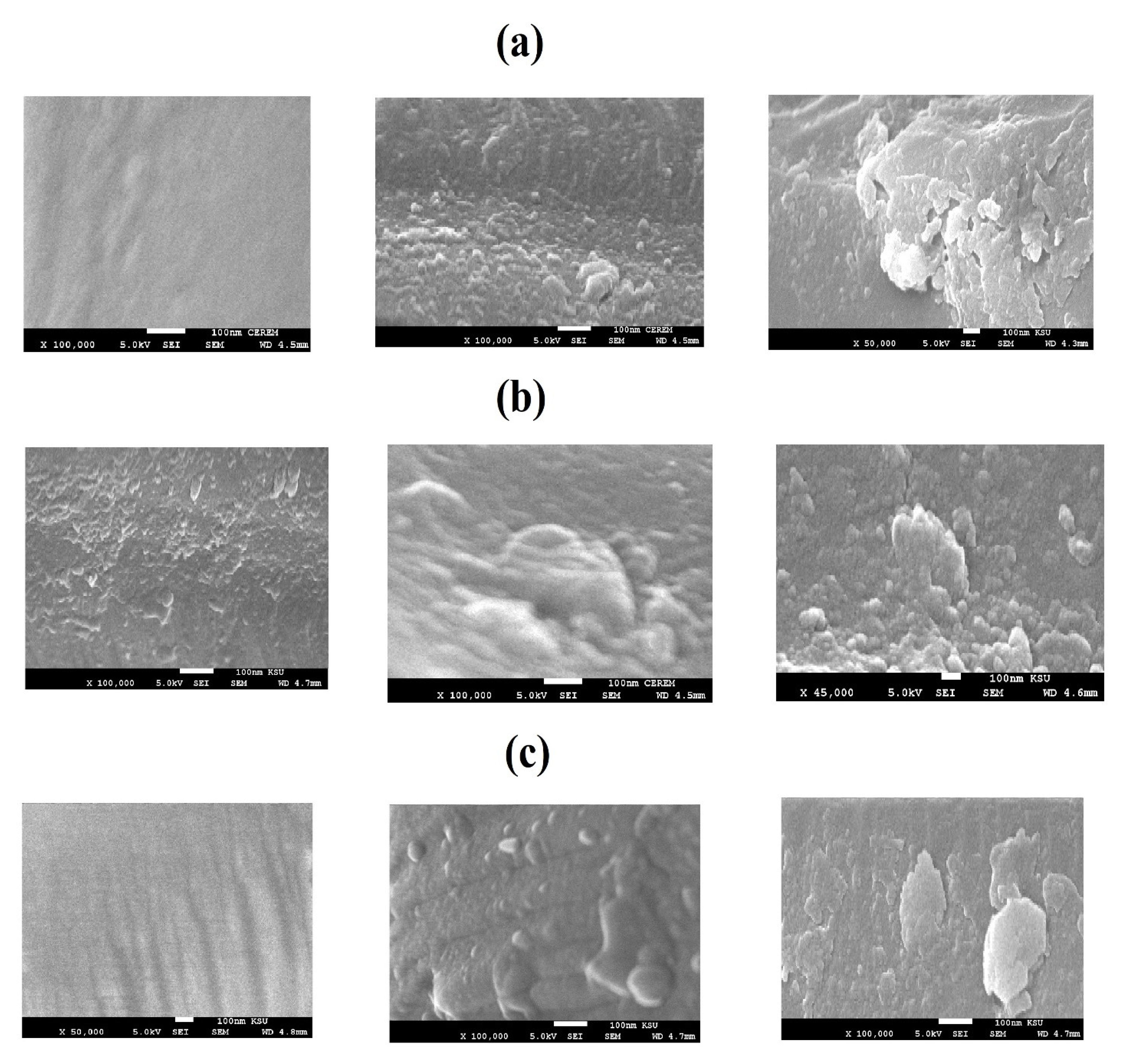 Coatings 11 00083 g011 Coatings 11 00083 g011