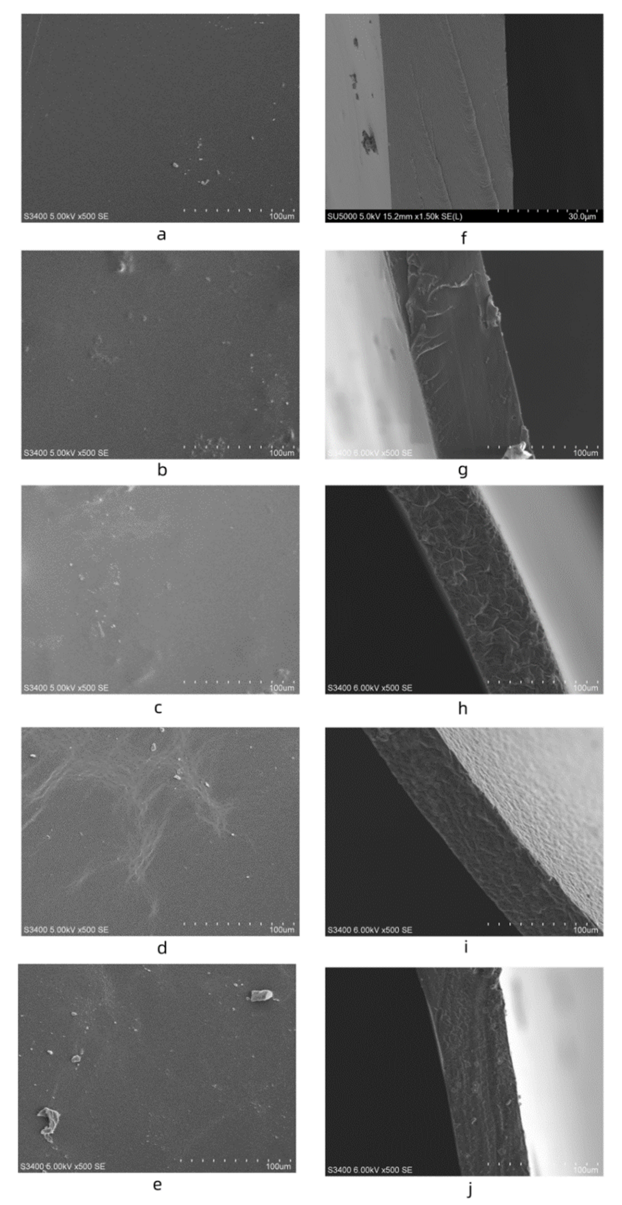 Coatings 11 00084 g003 Coatings 11 00084 g003