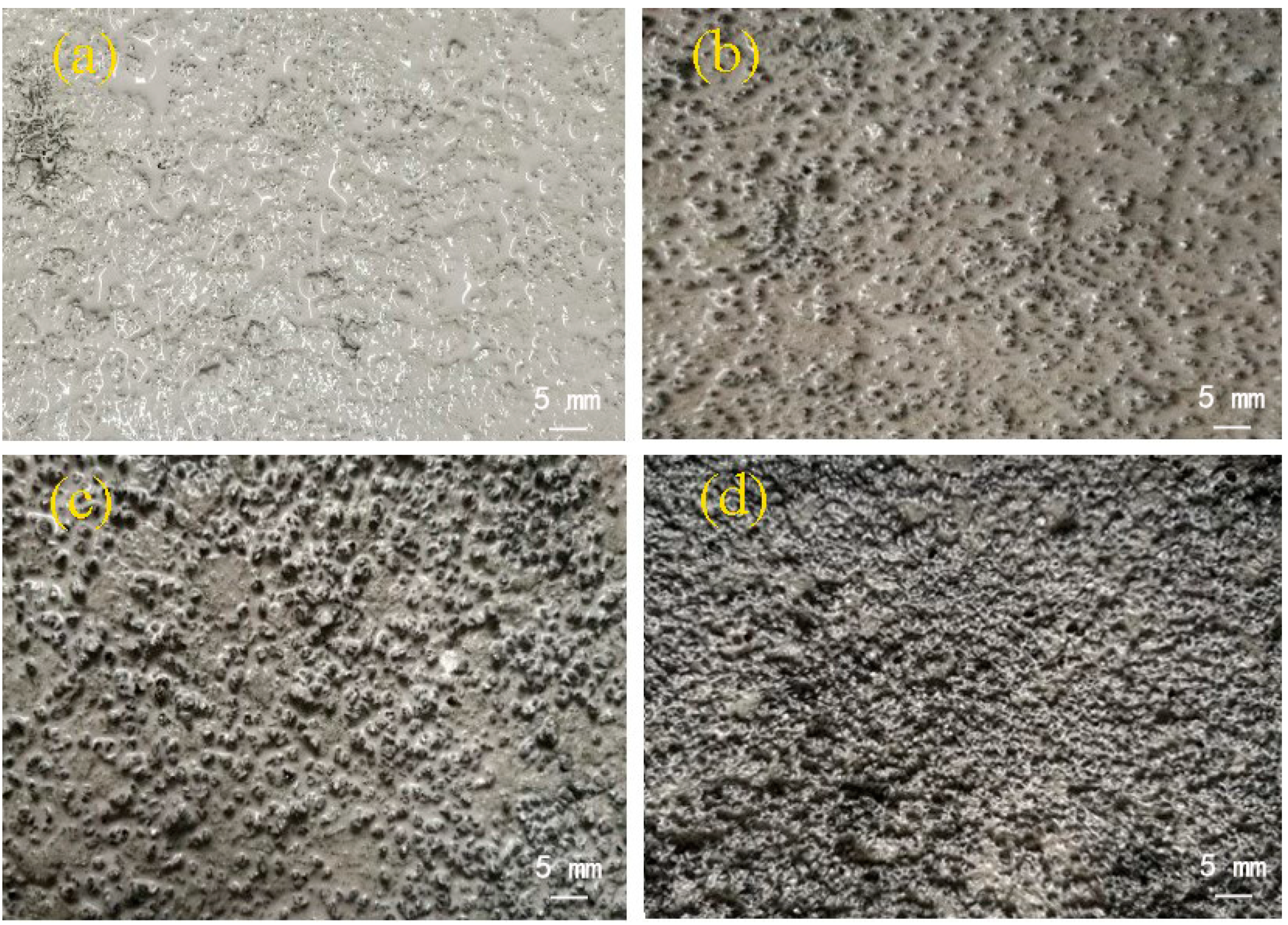 Coatings 11 00085 g013 Coatings 11 00085 g013