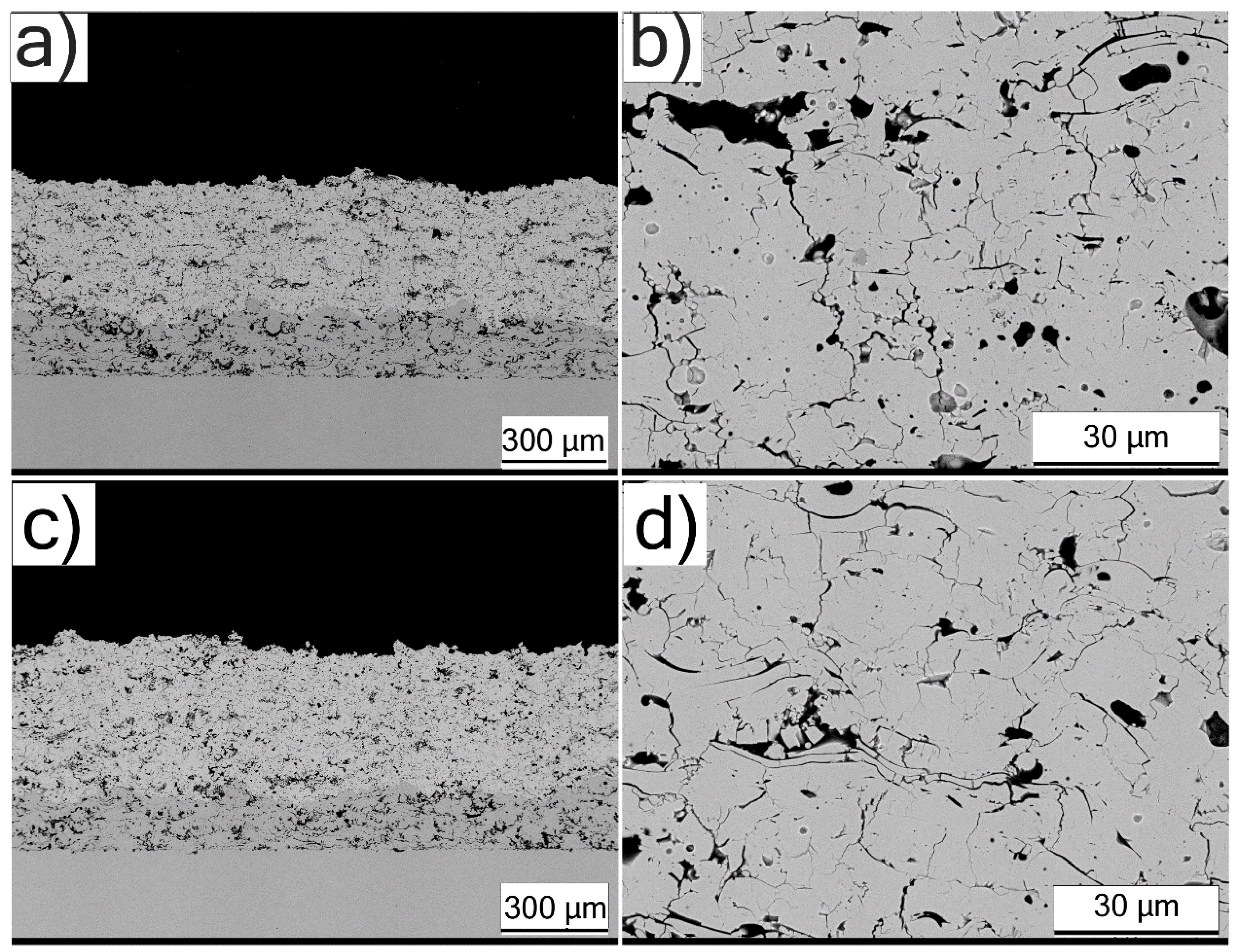 Coatings 11 00086 g004 Coatings 11 00086 g004