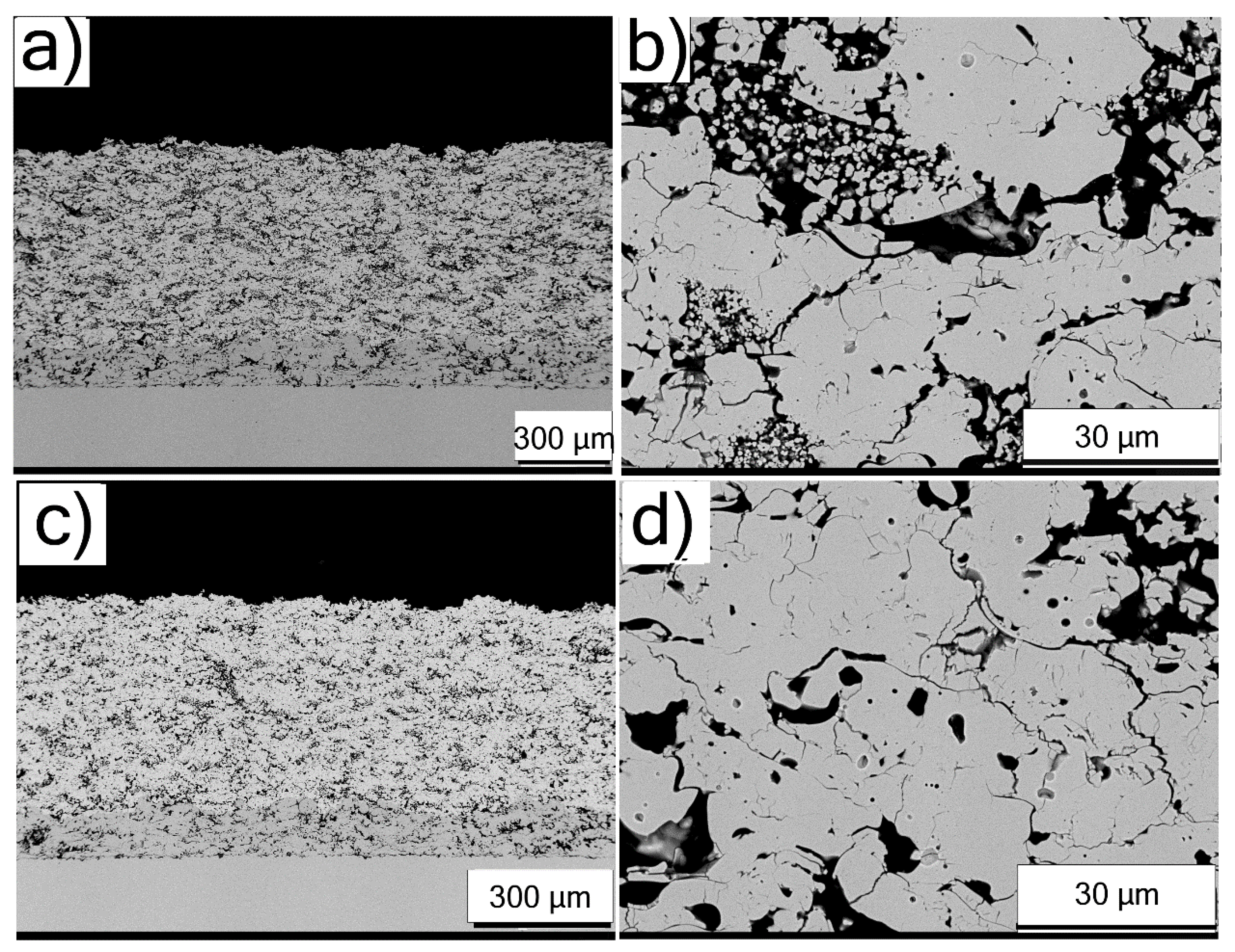 Coatings 11 00086 g005 Coatings 11 00086 g005
