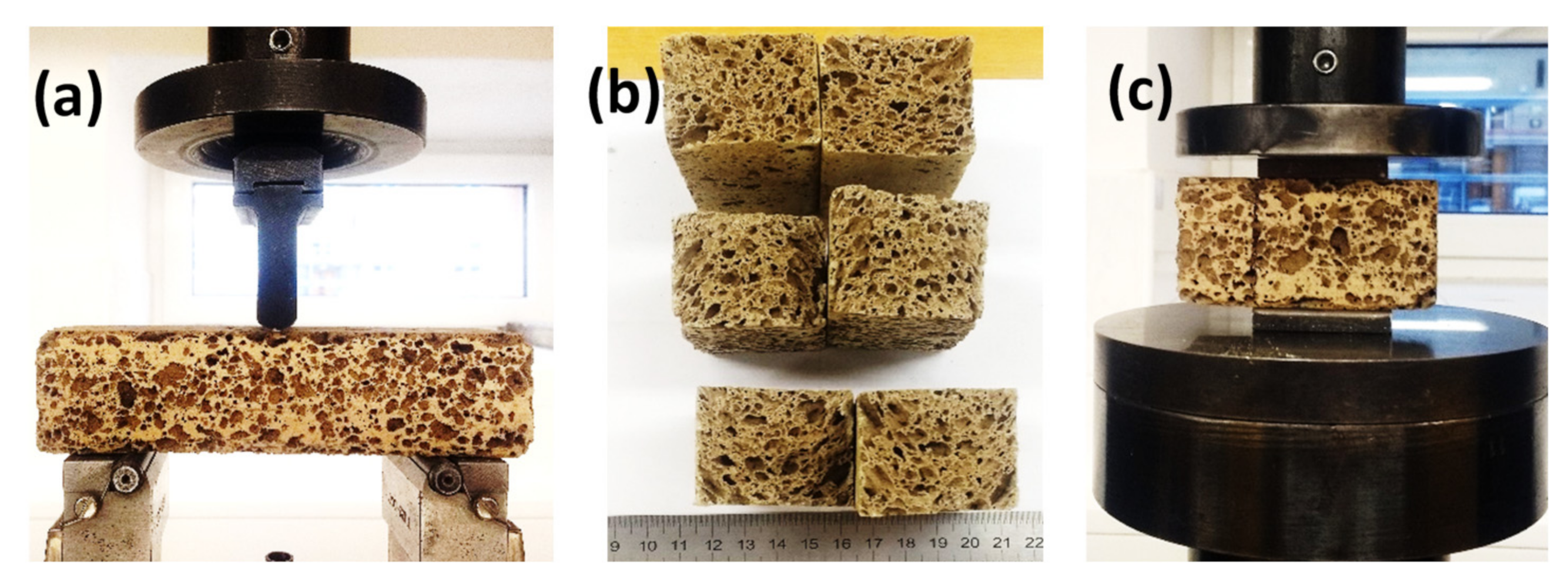 Coatings 11 00087 g001