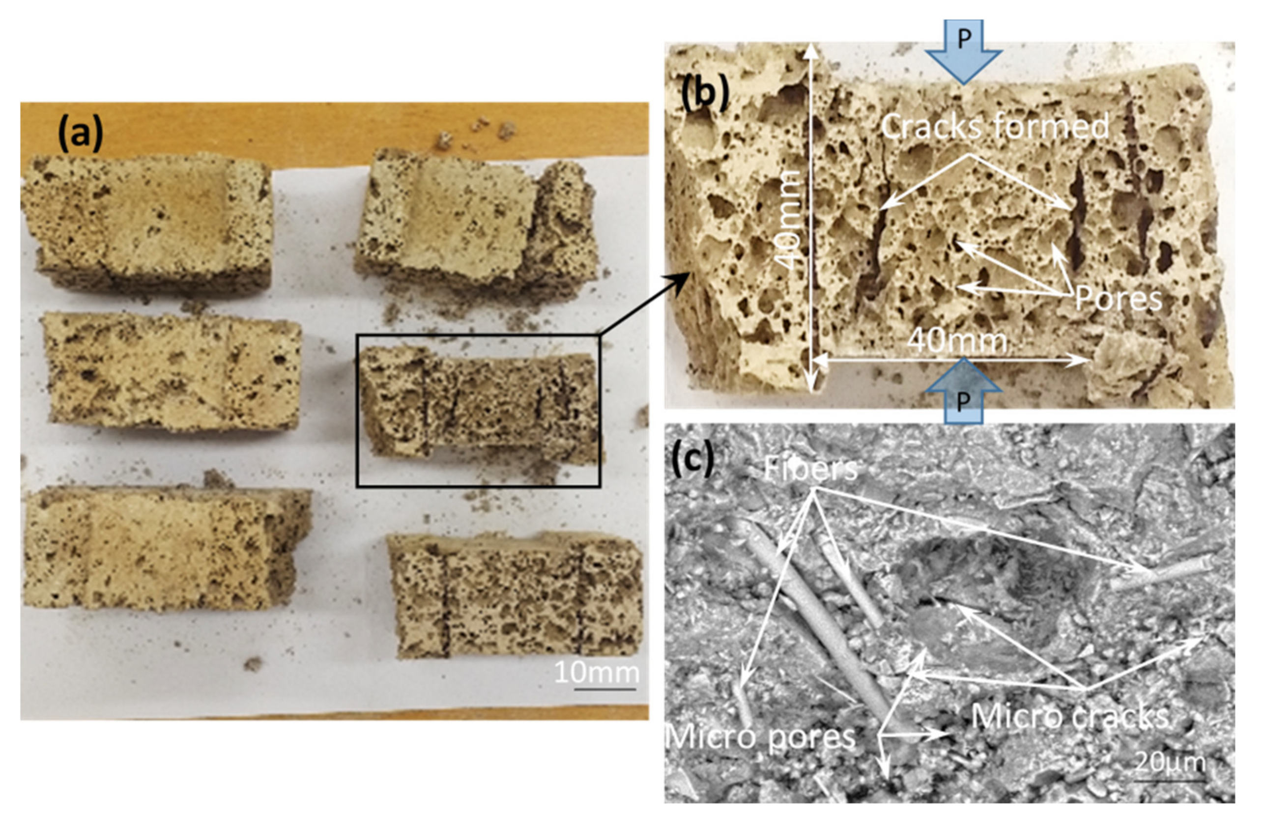 Coatings 11 00087 g006