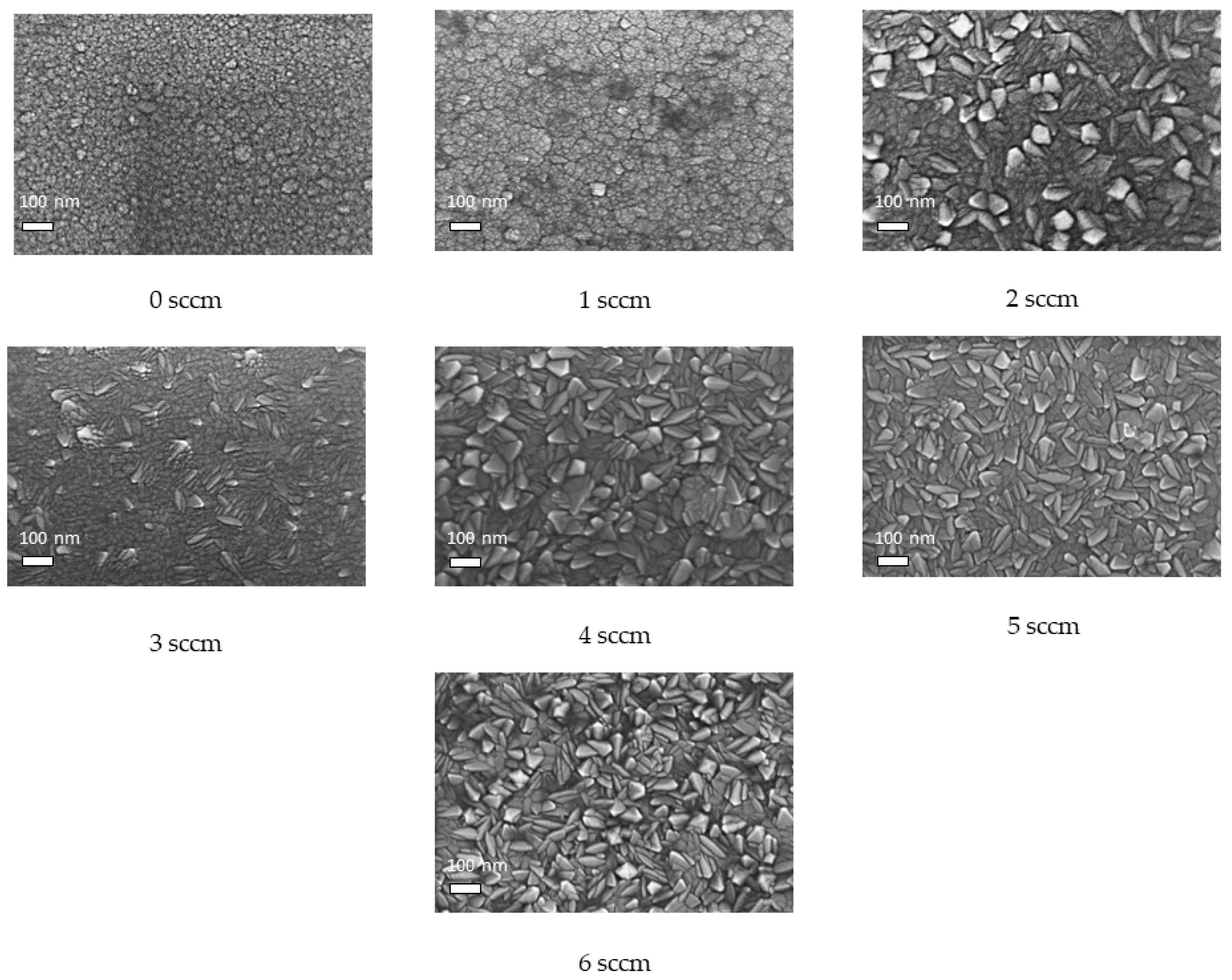 Coatings 11 00092 g001