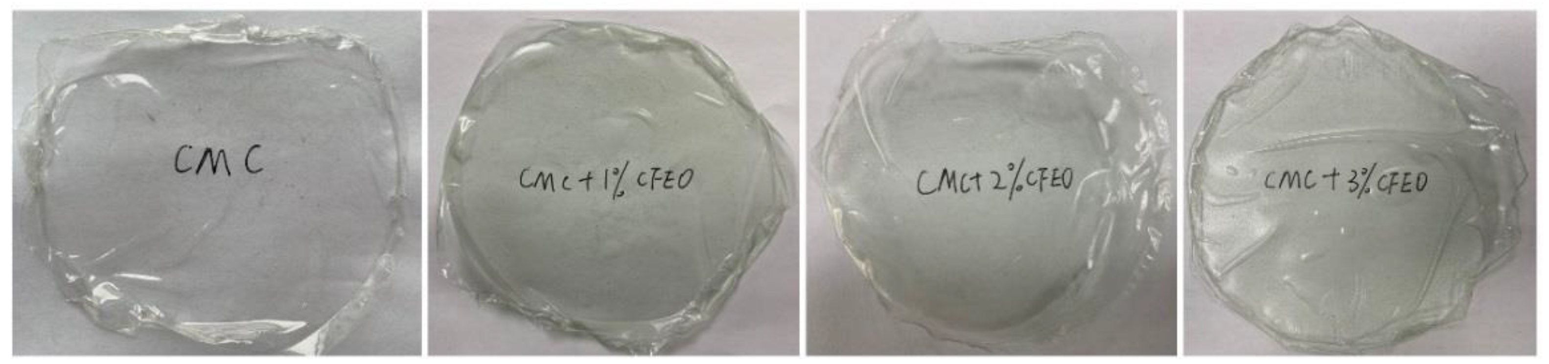 Coatings 11 00097 g002