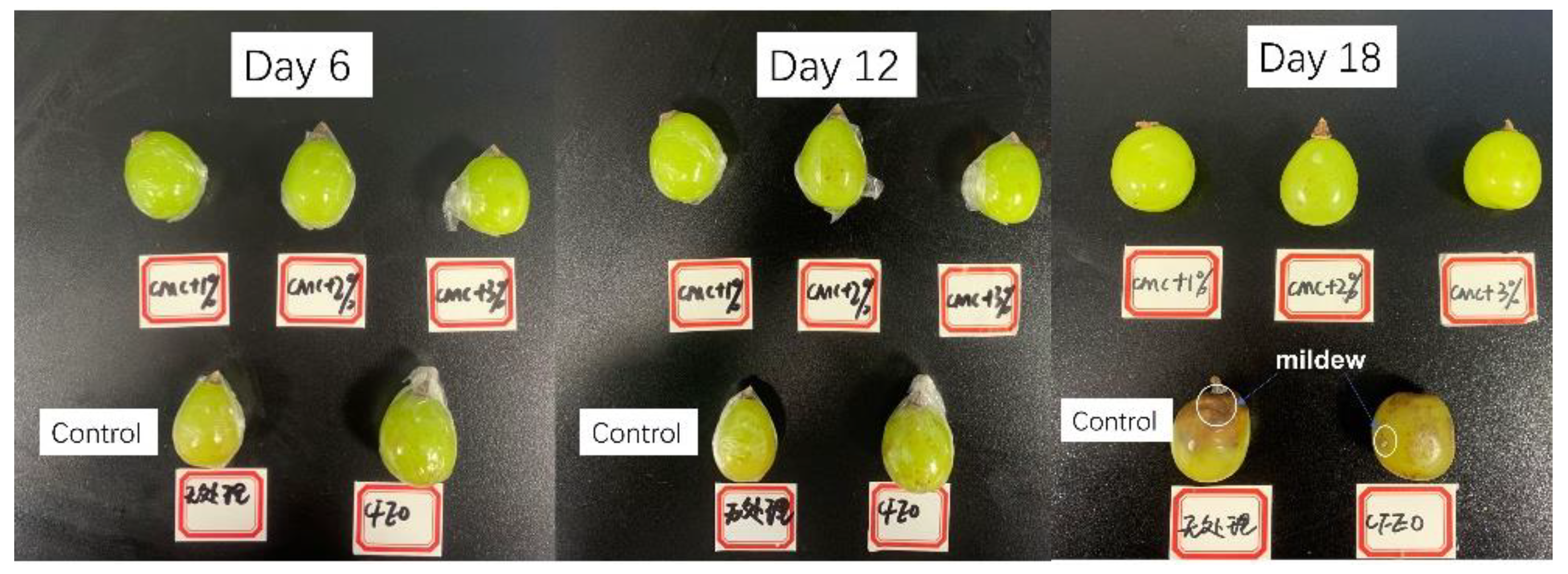 Coatings 11 00097 g011