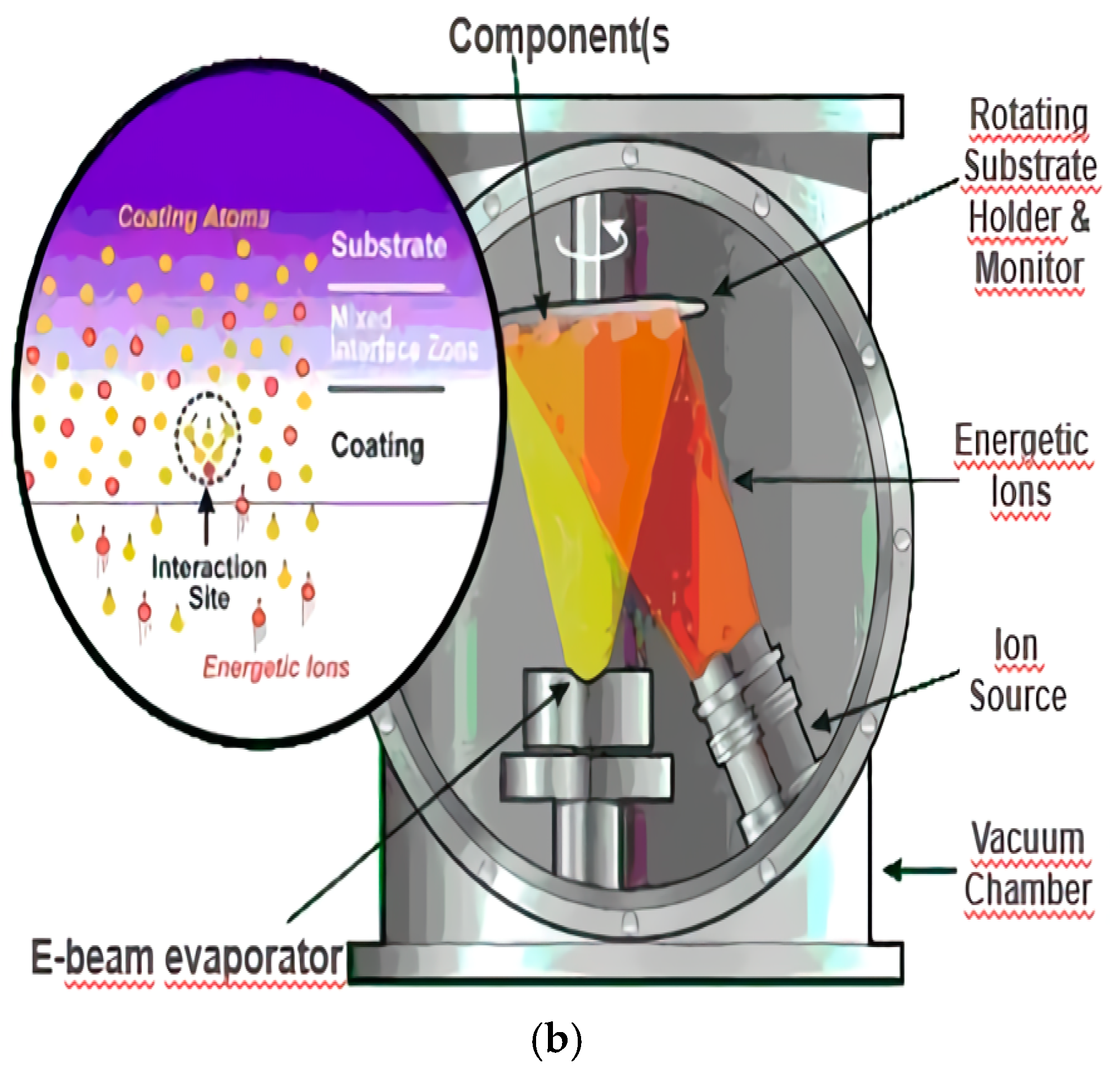 Coatings 11 00102 g001b