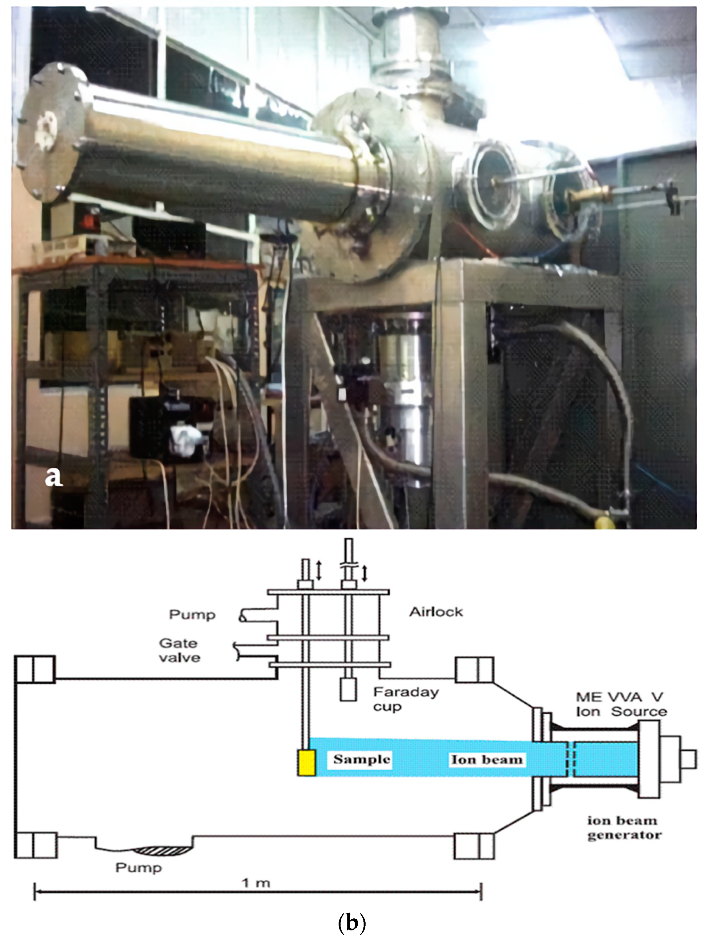 Coatings 11 00102 g002