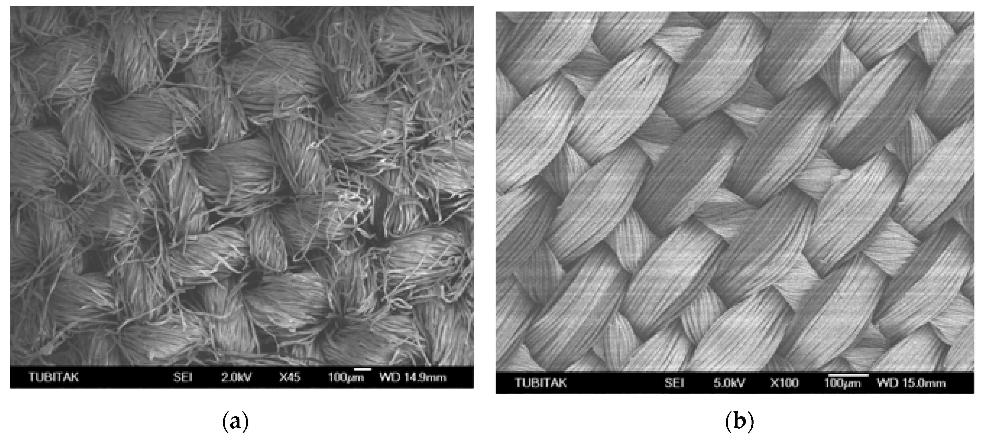 Coatings 11 00102 g004