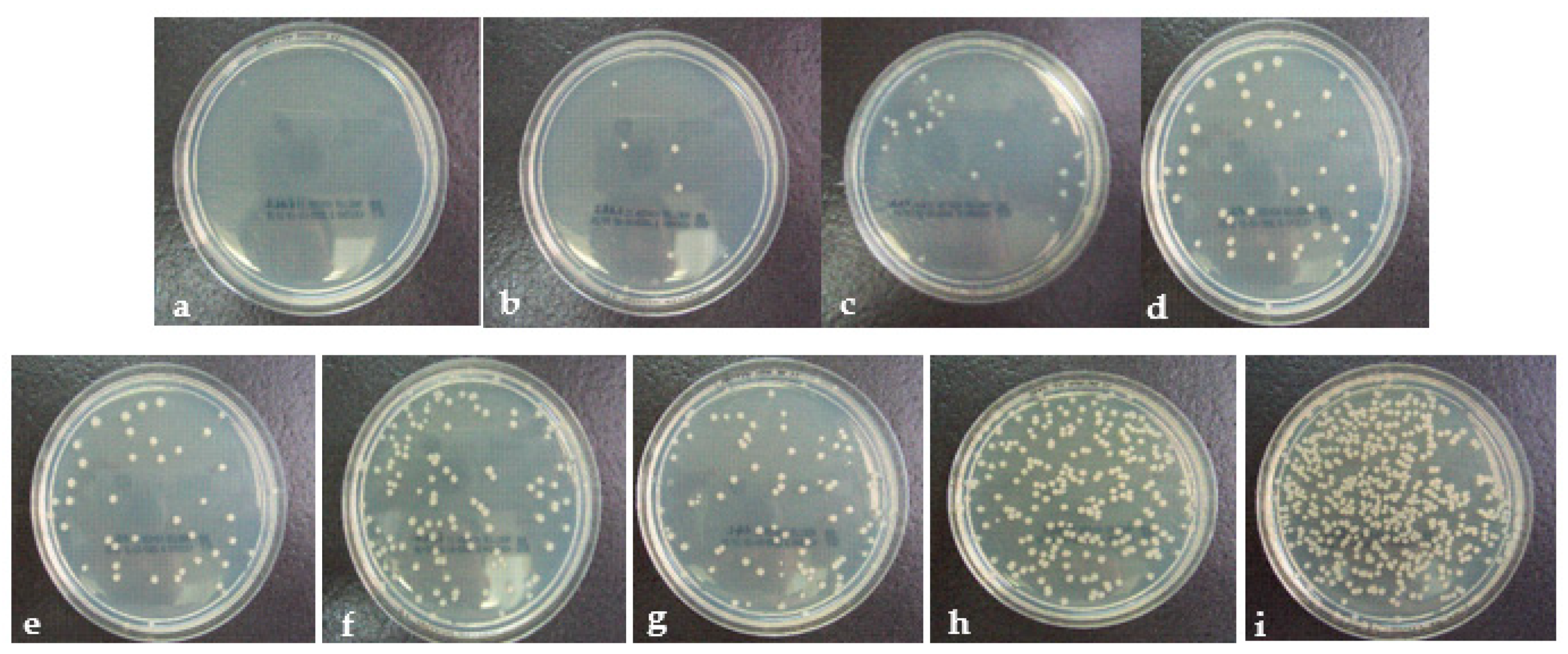 Coatings 11 00102 g007